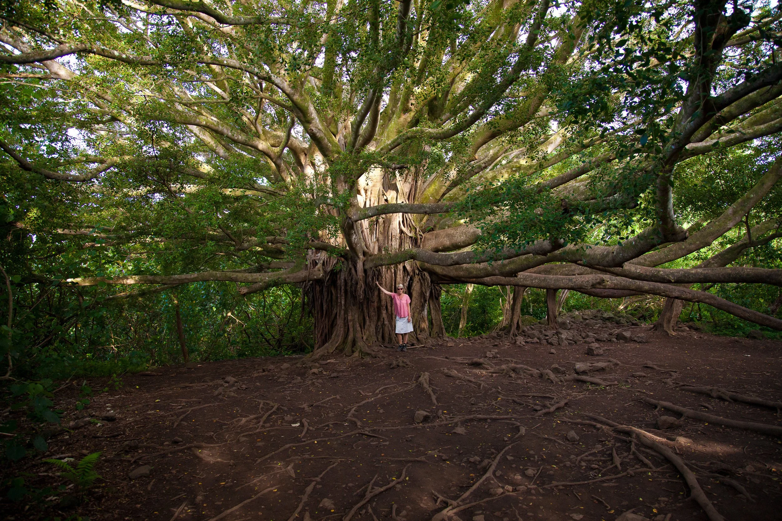 Hana, Maui - USA