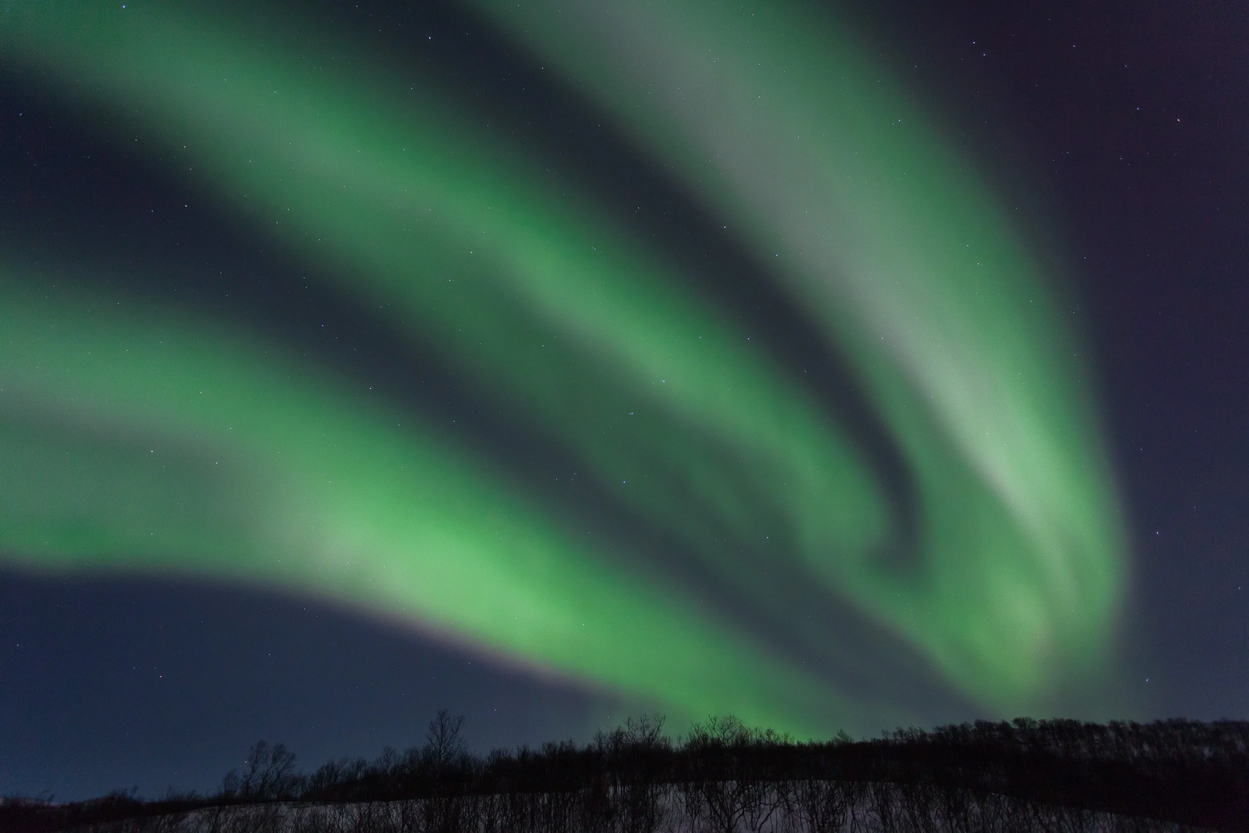 Powerful Northern Lights above Tromsø in Arctic Norway, with sweeping green aurora bands filling the night sky over a dark, snow-covered hillside and bare winter trees.