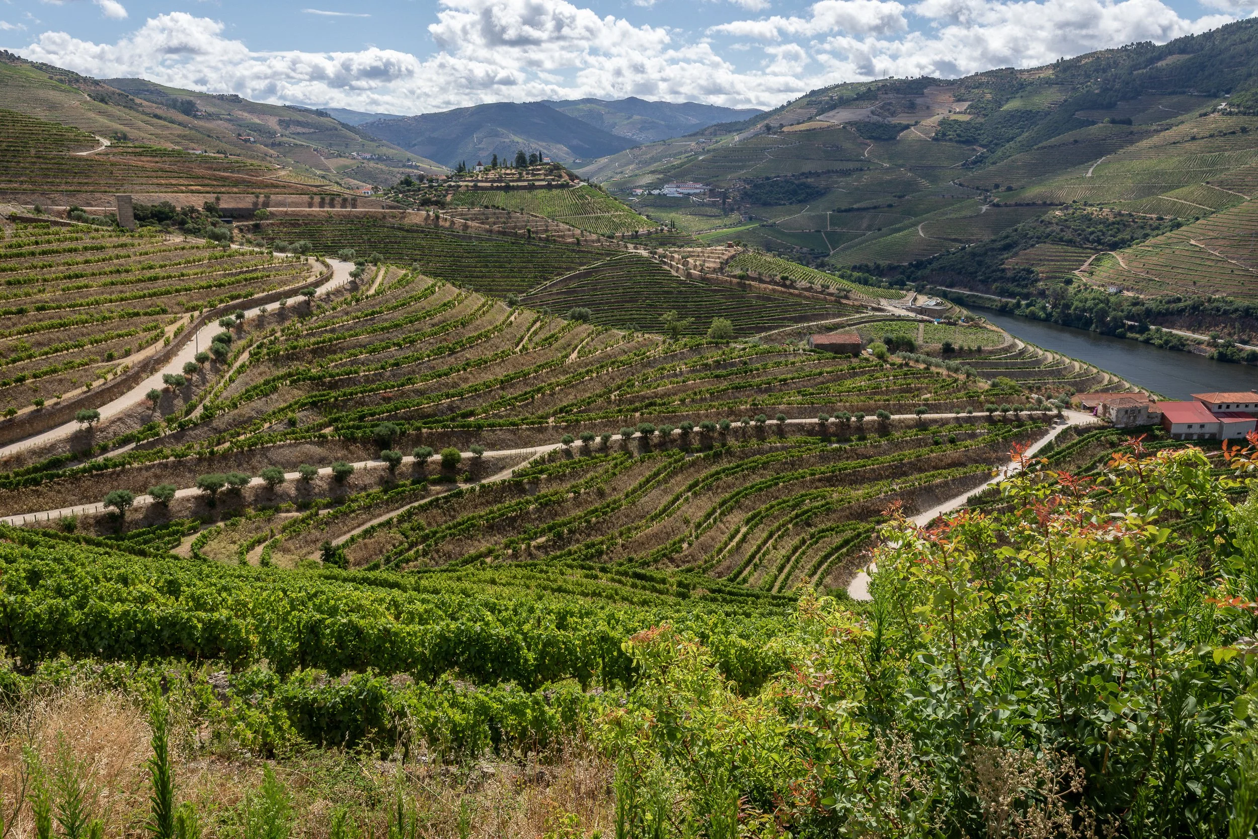 The Douro Valley opens into layers of terraced vineyards, winding tracks and river bends under a sky of broken cloud.
