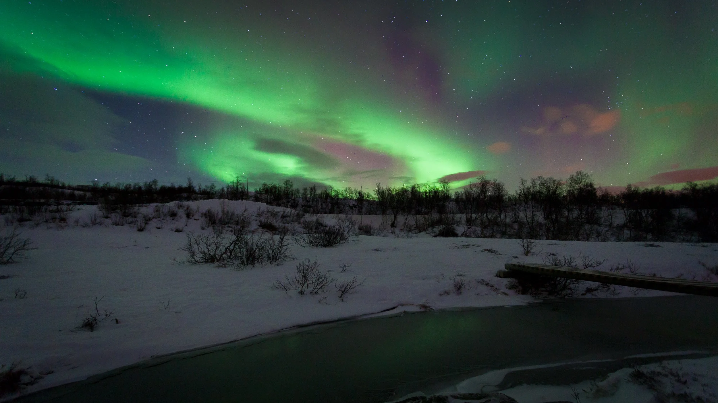 Northern Lights near Tromsø in Northern Norway – green aurora sweeping above snow-covered woodland, a frozen river and a clear Arctic night sky.