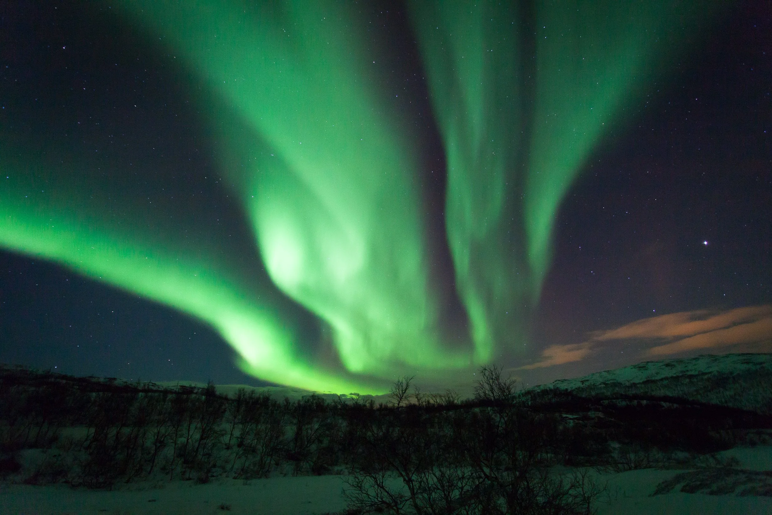 Delicate ribbons of northern lights stretch over Ringvassøya near Tromsø, with starlight shining through the aurora above a quiet, snow-covered Arctic landscape.