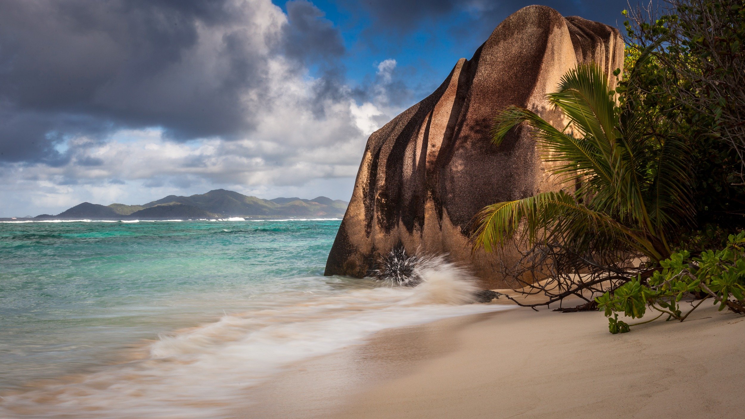 Granite boulder, palm tree and turquoise water on a sandy beach in Seychelles.