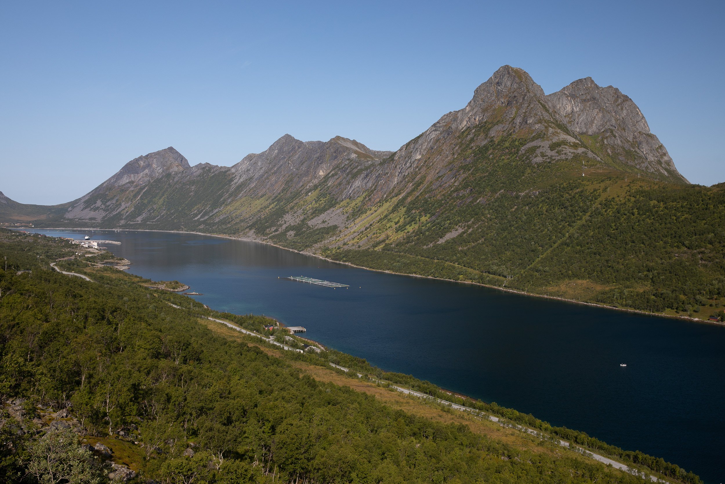 A calm fjord view framed by steep green mountains, with deep blue water and clear summer light along the Senja coast.