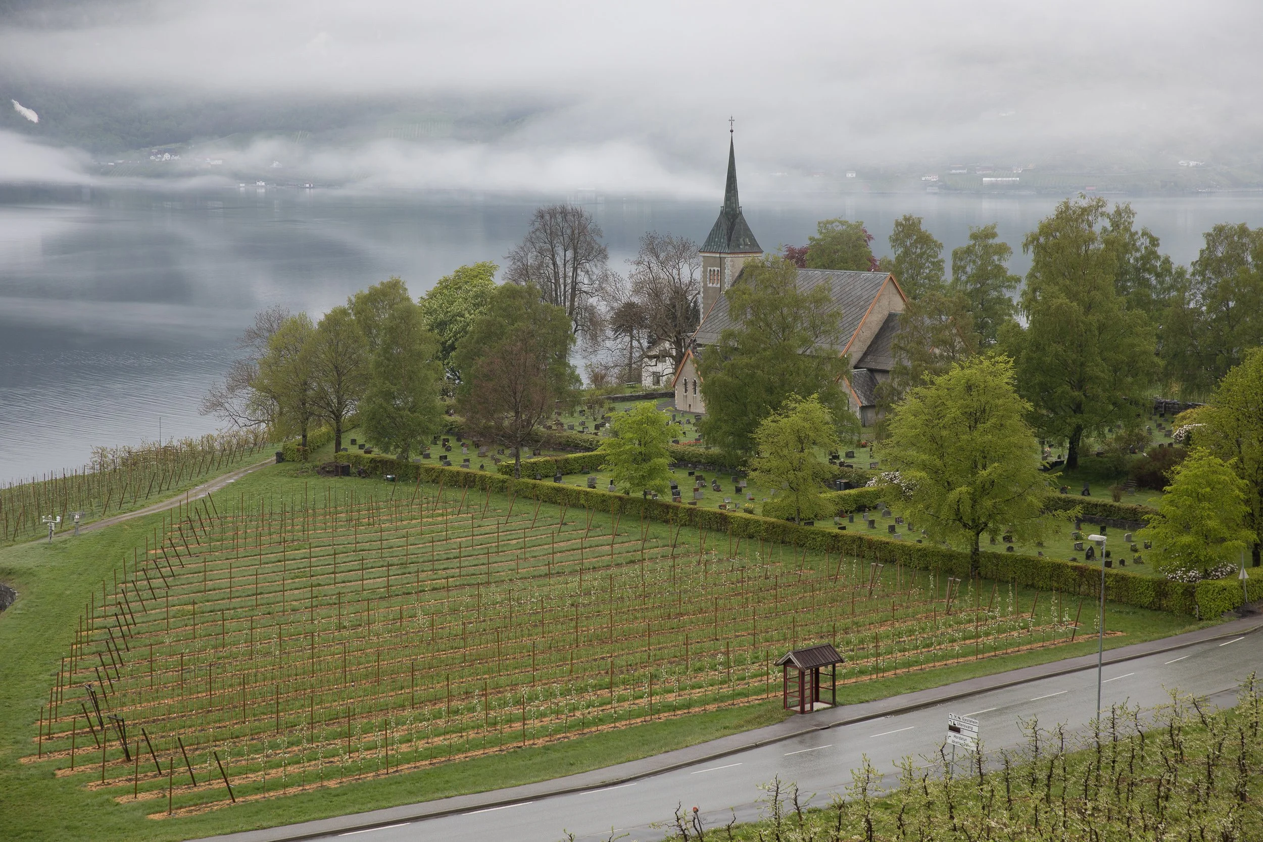 Ullensvang Church by the Hardangerfjord, surrounded by orchards and low morning mist.