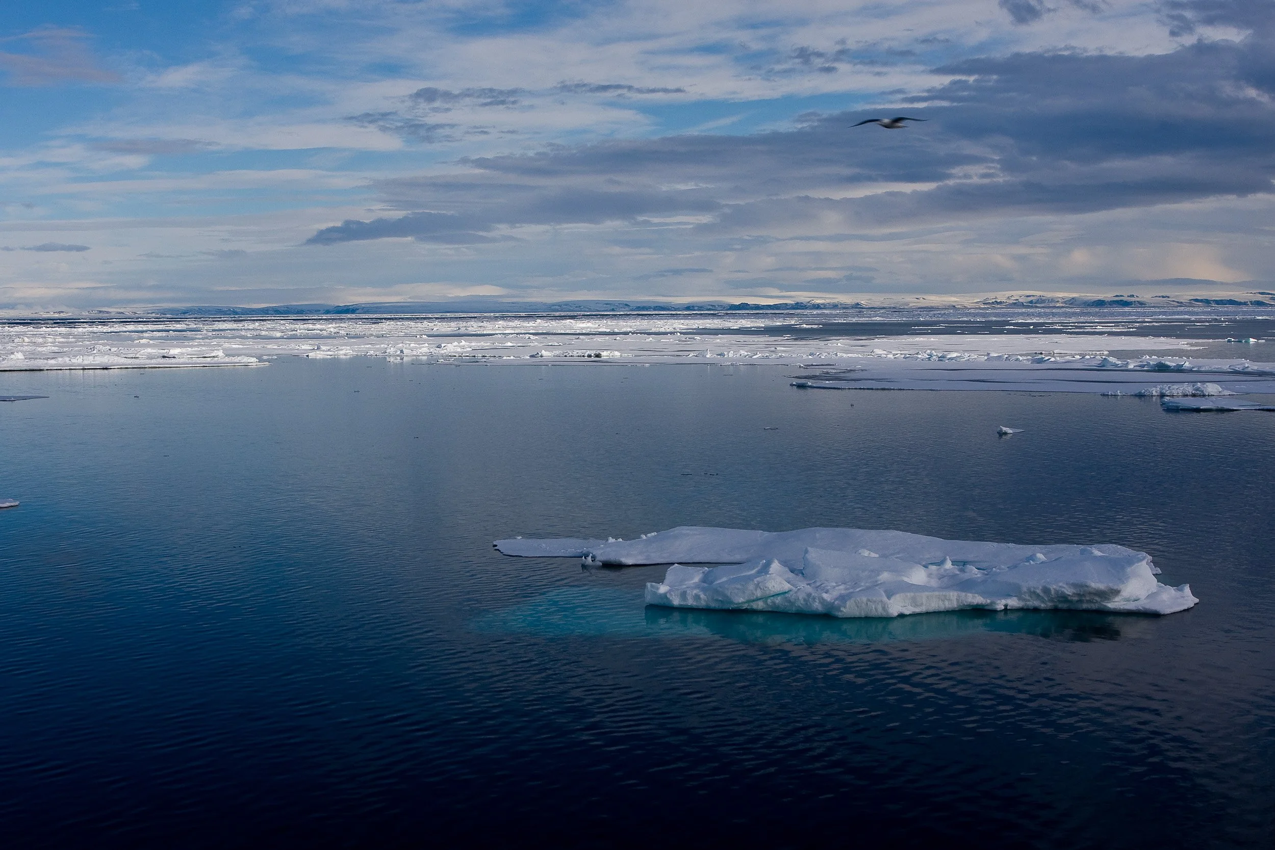 Open water and drifting sea ice meet beneath vast Arctic skies at 80 degrees north.