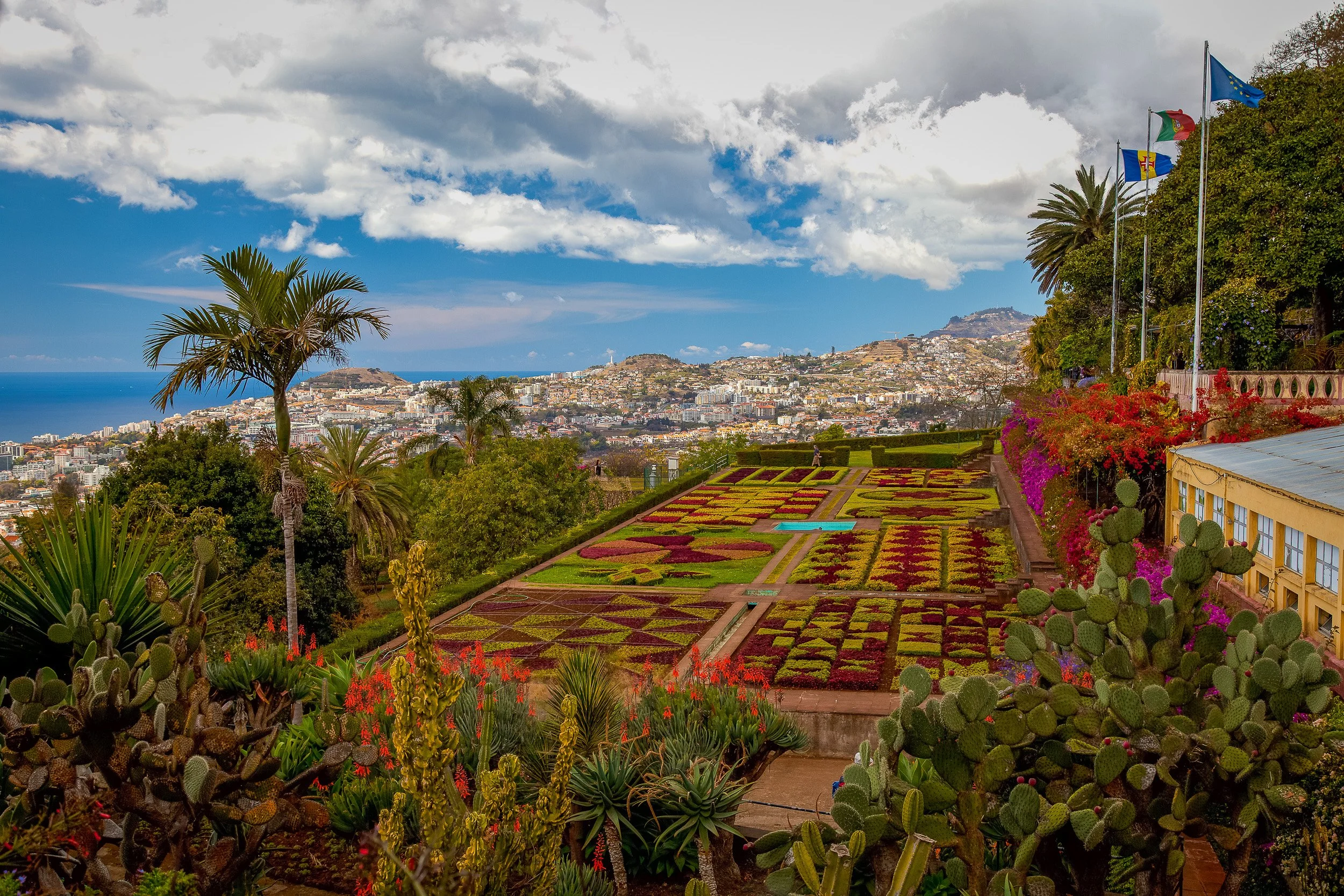 A panoramic view from Madeira’s botanical gardens over Funchal, with patterned flower beds, cacti, palms and the city stretching towards the Atlantic.