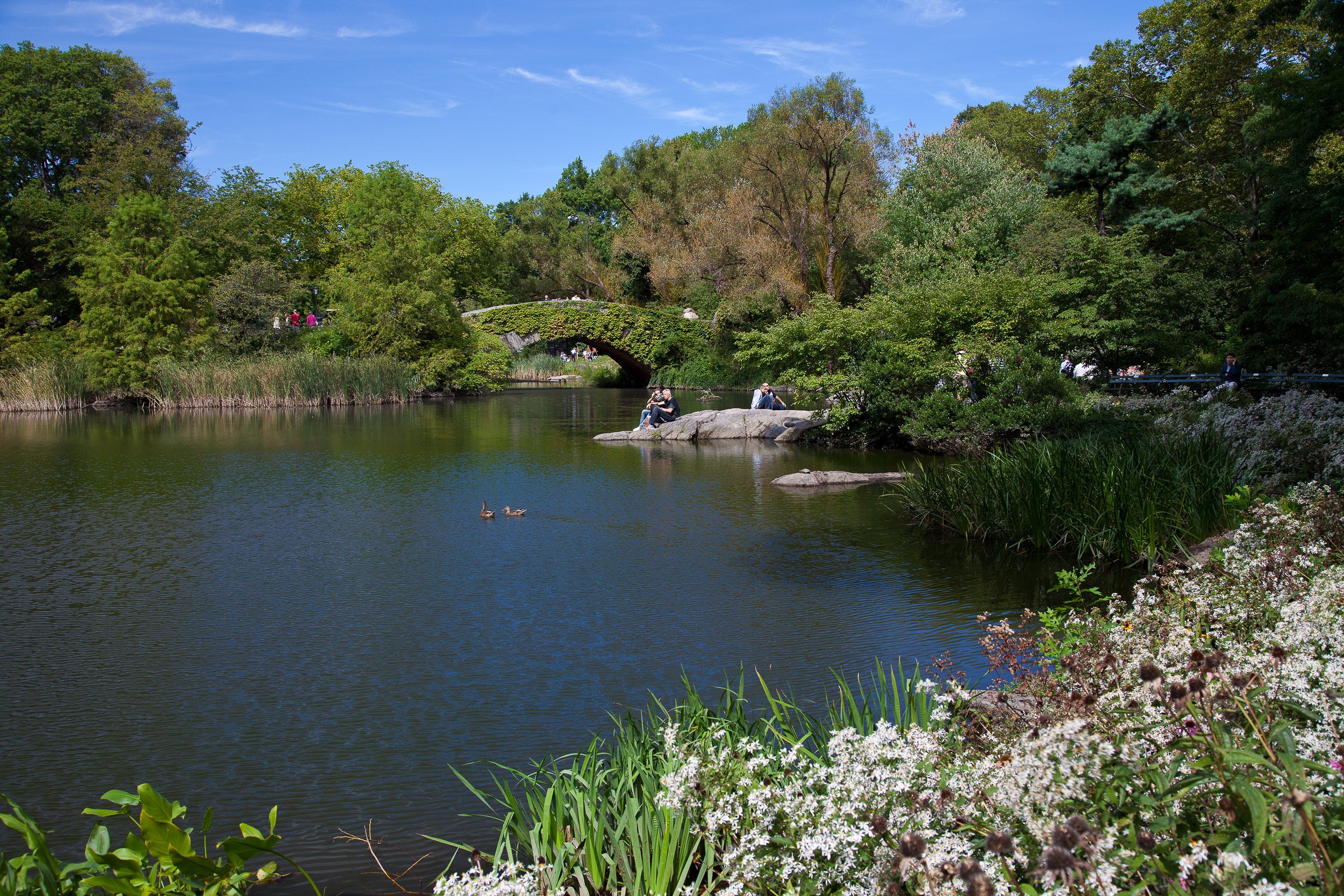 A peaceful corner of Central Park, where water, greenery and a storybook bridge soften the city’s pace.