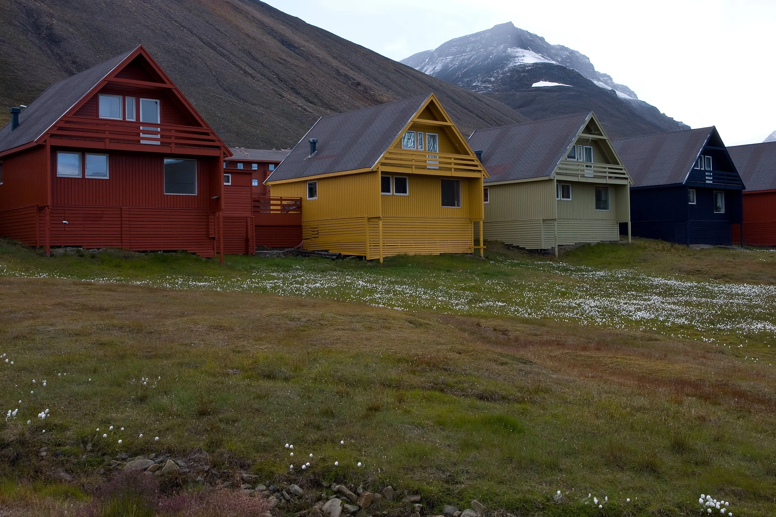 Bright wooden houses in Longyearbyen add warmth and colour to the steep mountain setting.