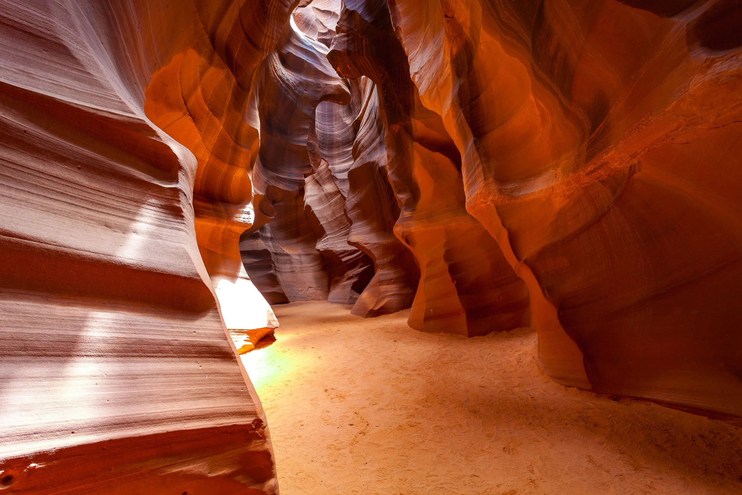 Flowing sandstone forms and soft reflected light in Antelope Canyon, Arizona.