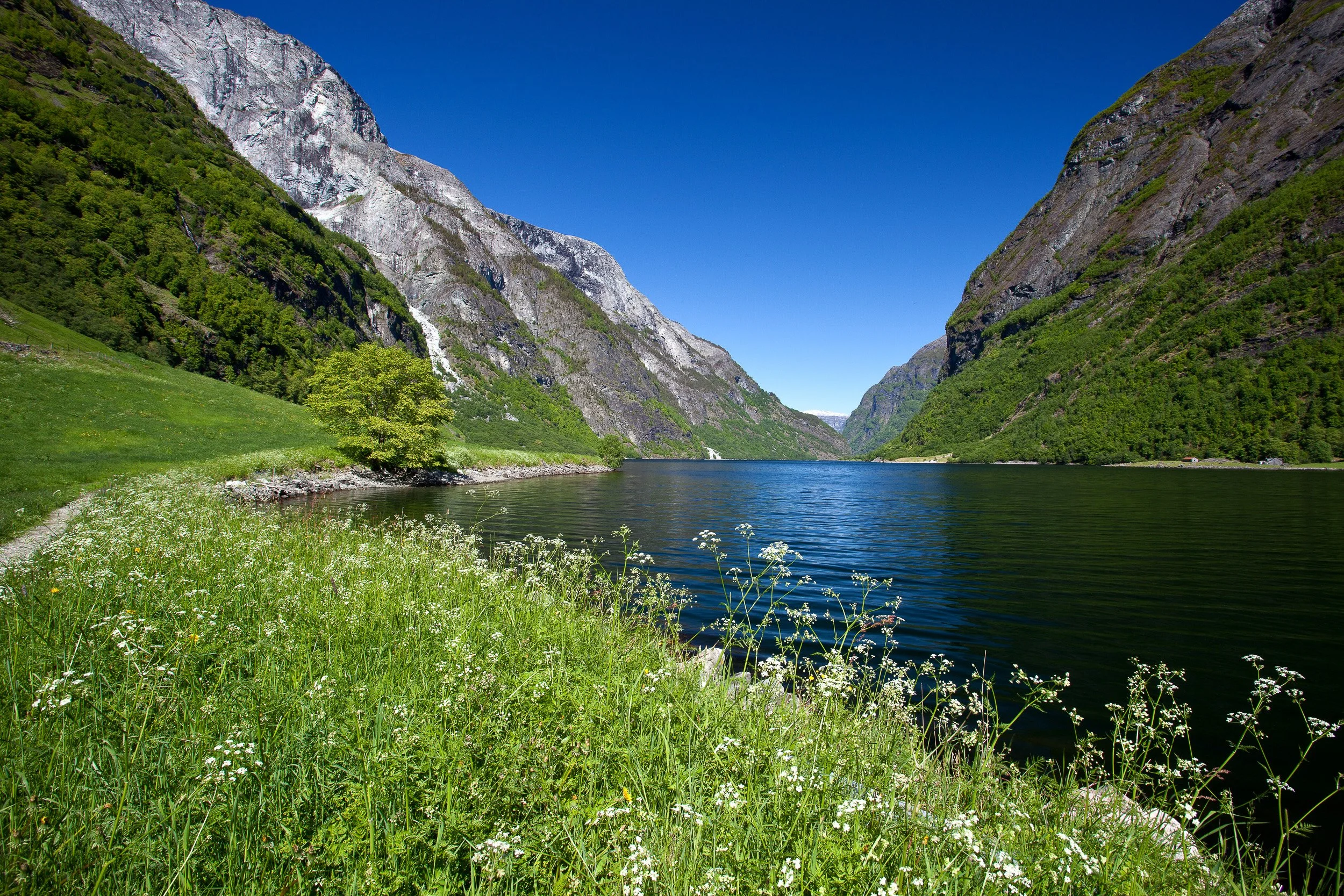 The narrow grandeur of Nærøyfjorden, a UNESCO World Heritage-listed fjord where towering valley walls close in and the water feels impossibly still.