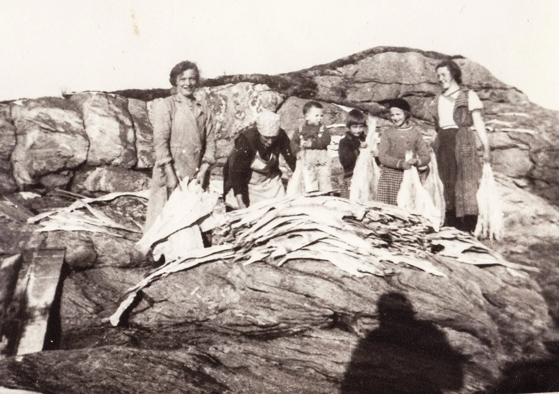 Historisk bilde fra Husevåg der høy hesjes på innmarka, med fjorden, fjellene og bebyggelsen som bakgrunn.