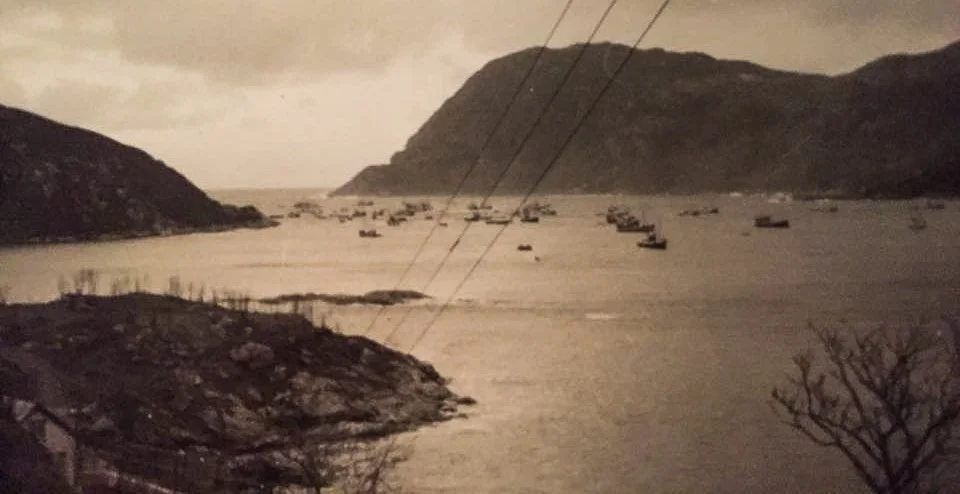 Sildefiske i fjorden utenfor Husevåg, 1959 – mange båter samlet på fjorden under sildefisket. Bildet viser sjøen som arbeidsplass og fiskeriet som en viktig del av livsgrunnlaget på Husevågøy. Foto: ukjent. Kilde/eier: familiealbumet til Monica Bakke