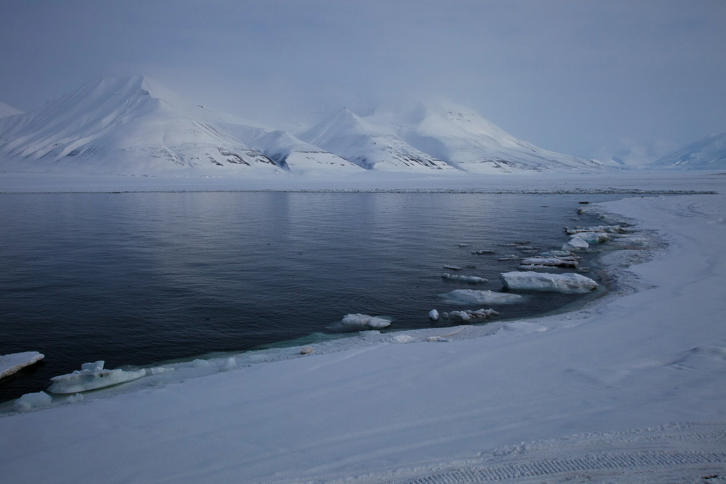 Open water meets snow-covered land beneath cloud-veiled mountains in a quiet Arctic winter scene.