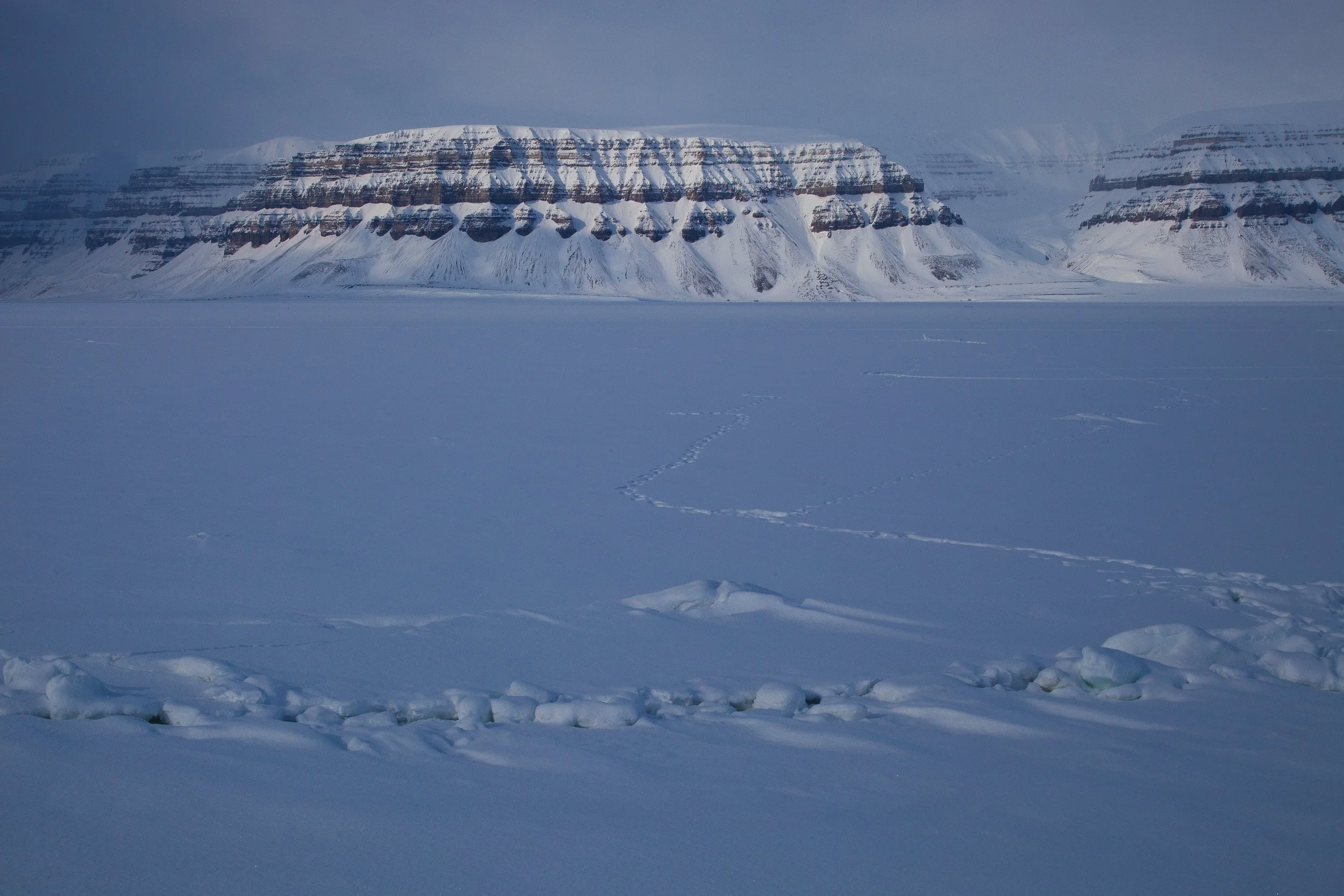 Layered cliffs in Tempelfjorden rise above a frozen fjord, their dark bands standing out against the snow.