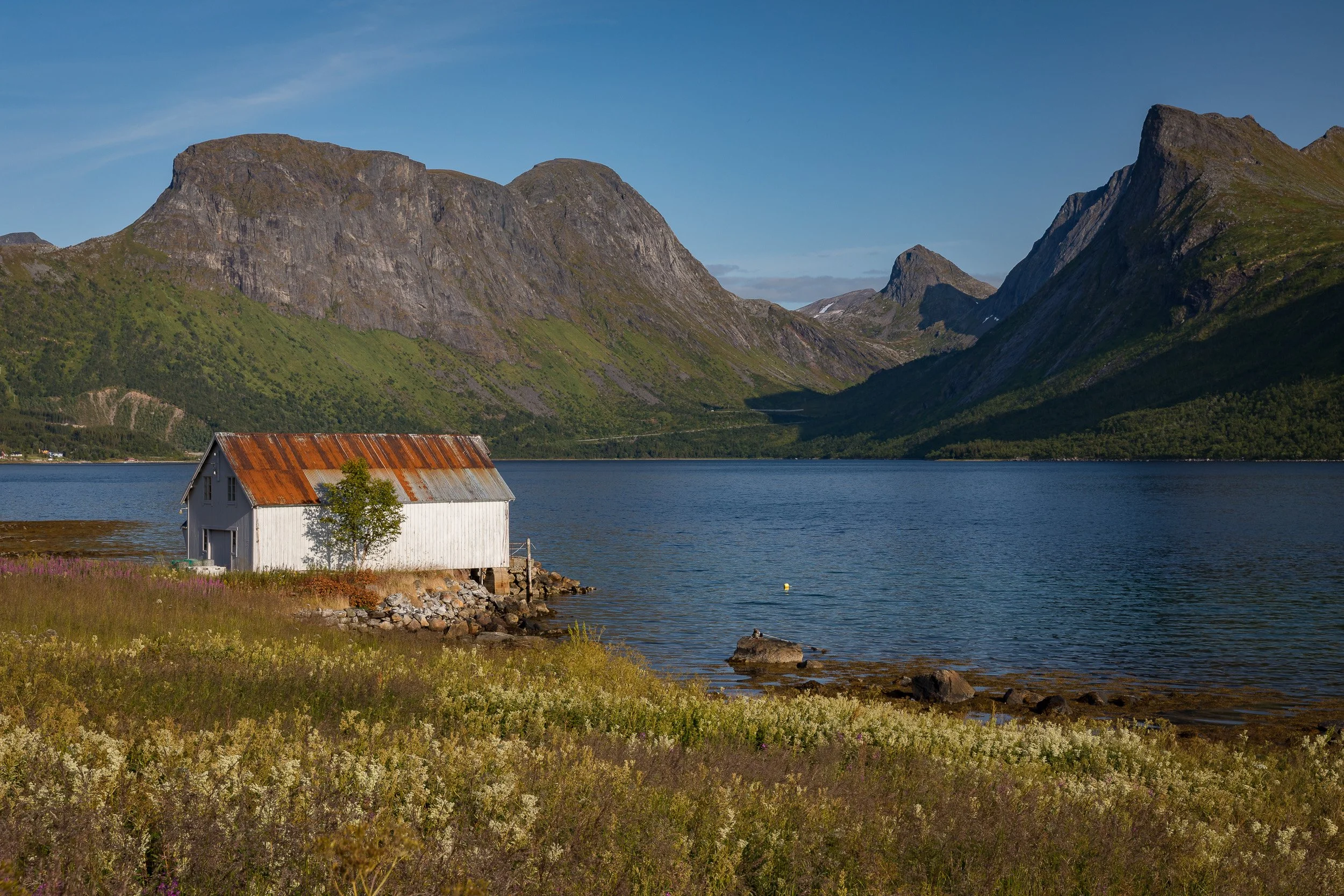 A weathered boathouse with a rust-red roof stands beside the fjord, backed by quiet water, summer flowers and steep mountains.