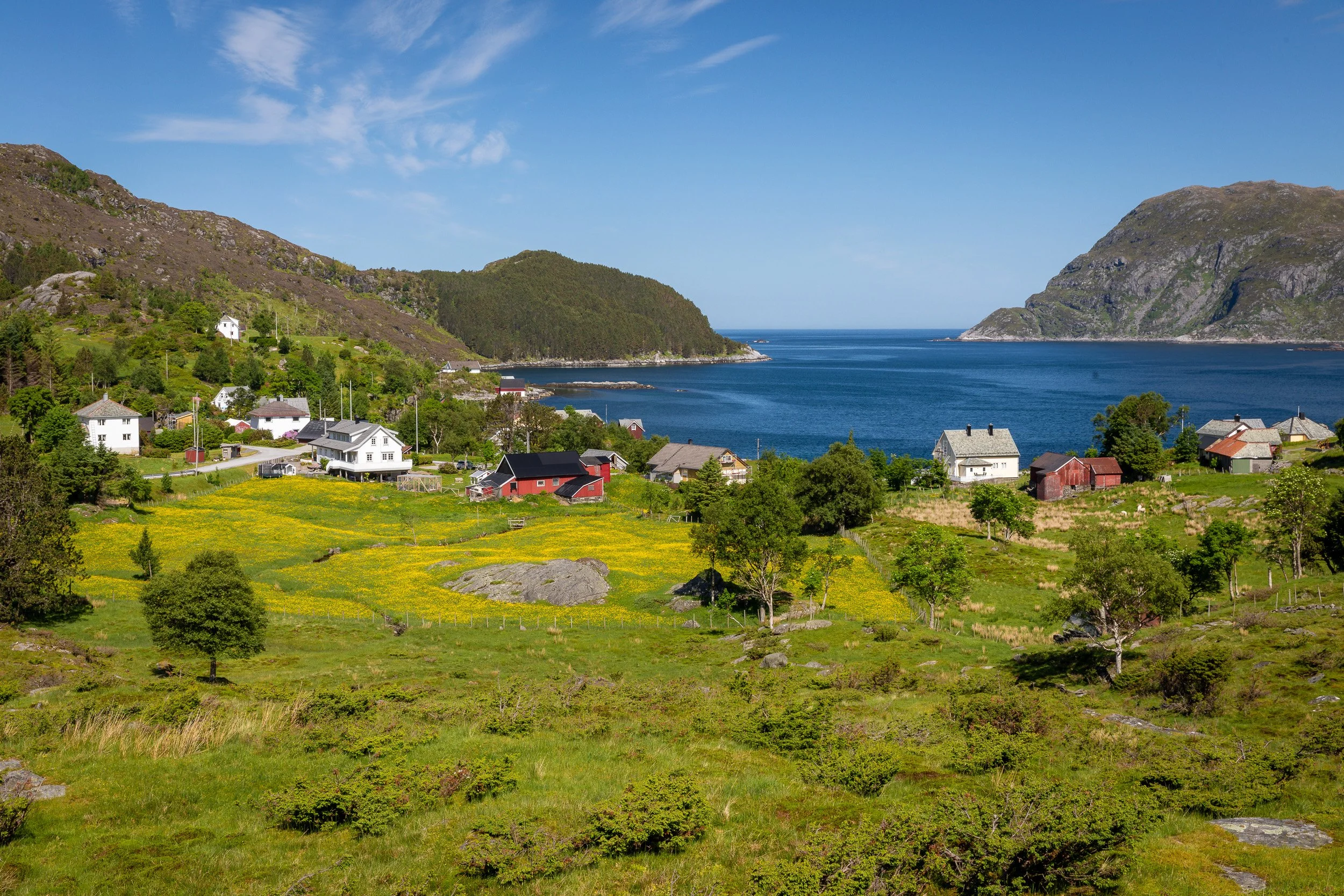 Sommerutsikt over Husevåg på Husevågøy, med gule blomsterenger, hus og naust mellom fjellene og fjorden ved utløpet av Nordfjord.