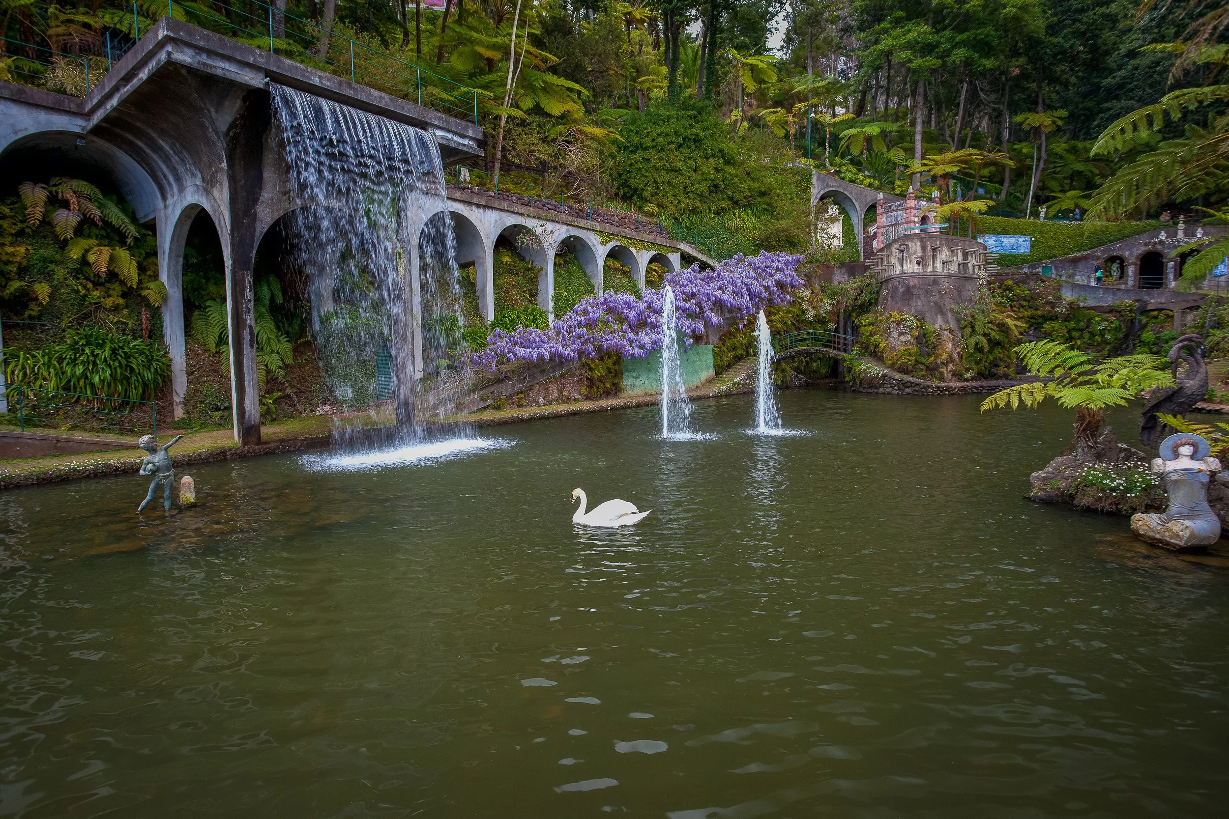 A quiet garden lake in Funchal with waterfalls, arches, purple flowering plants and a lone white swan, framed by dense subtropical greenery.