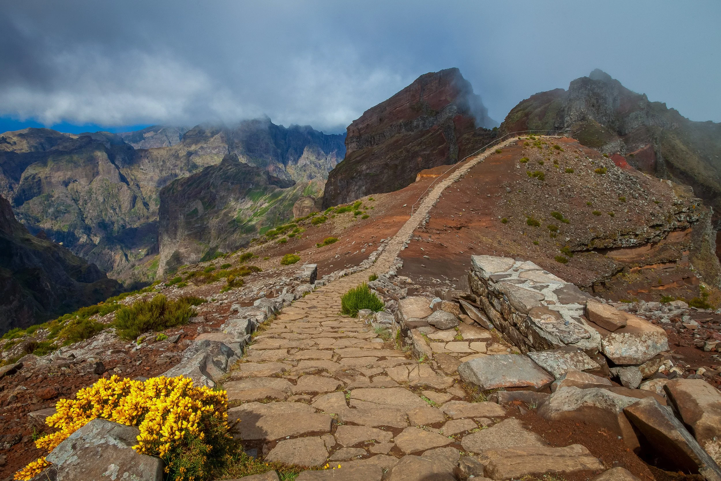 A stone path at Pico do Arieiro leading into drifting cloud, with yellow mountain flowers and red volcanic rock opening towards Madeira’s high interior.