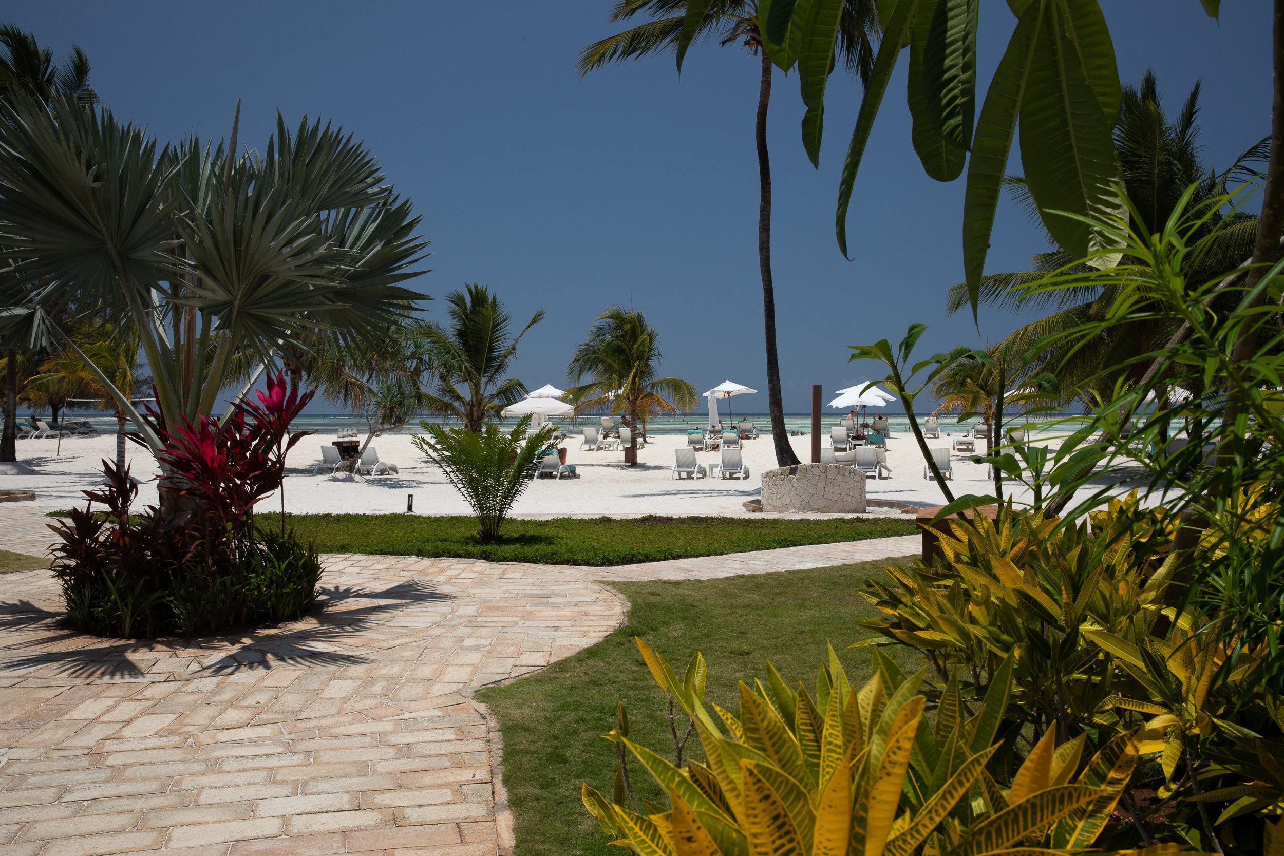 Pathway through palm trees at LUX Marijani, Zanzibar – manicured lawns and tropical planting leading towards villas and the beach.