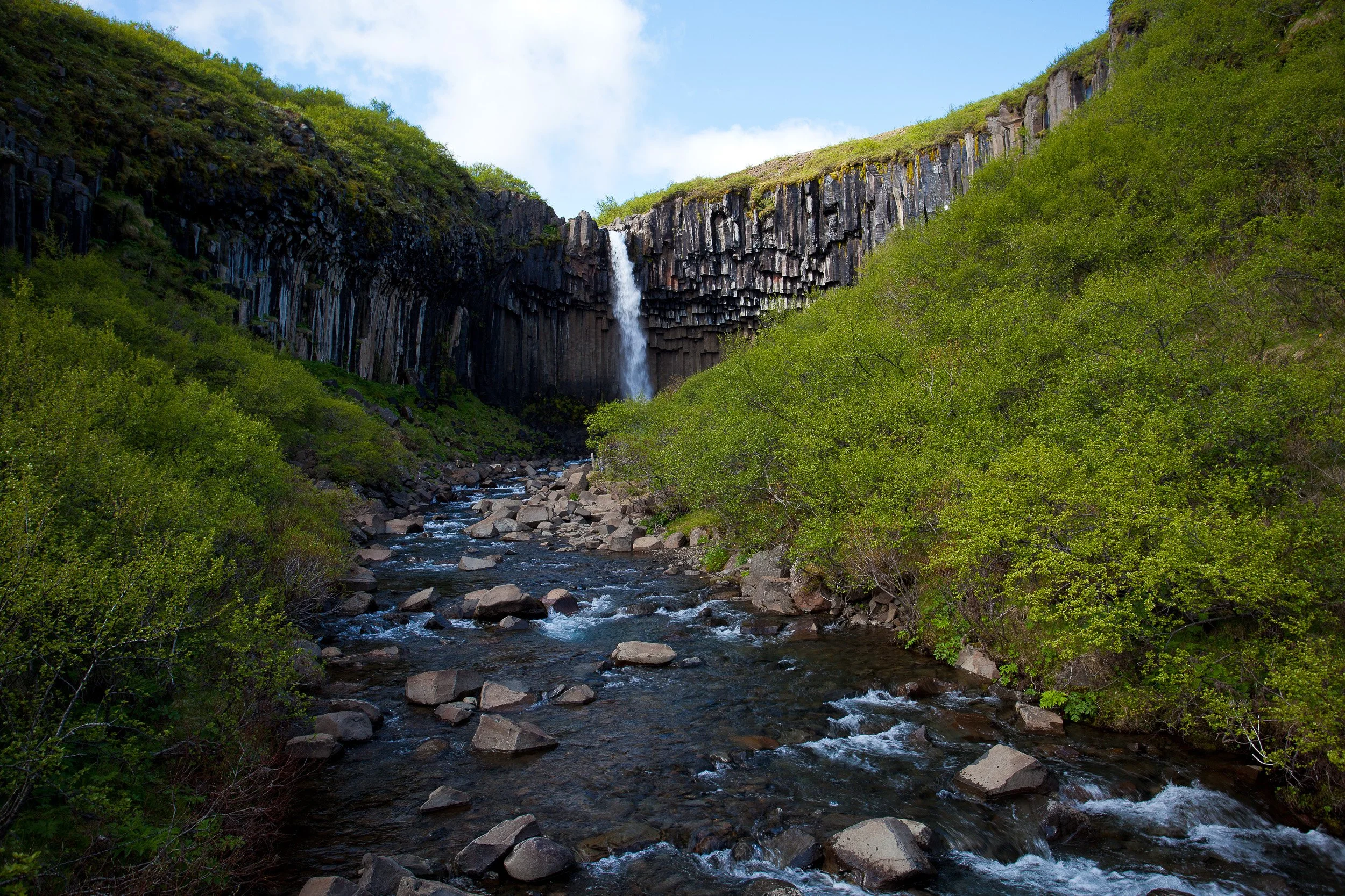 A narrow Svartifoss  waterfall framed by organ-pipe basalt columns, tucked into a lush gorge with the river tumbling over boulders below.