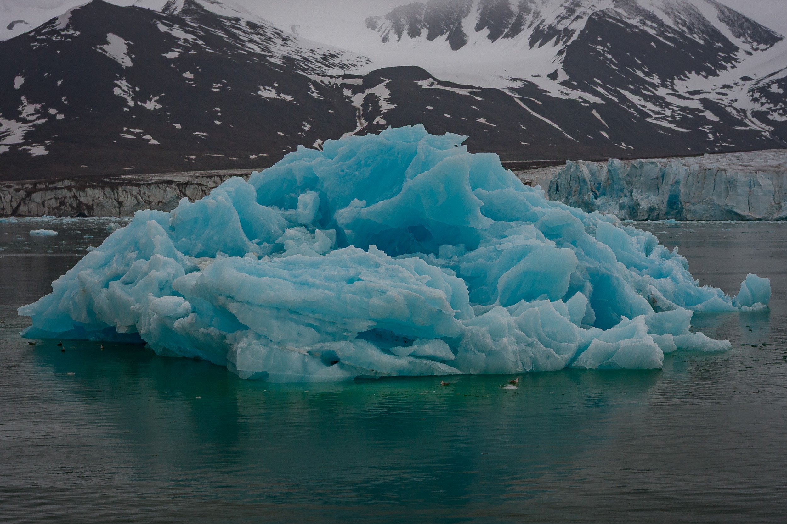 A luminous blue iceberg floats in still water, sculpted into sharp ridges and deep frozen hollows.