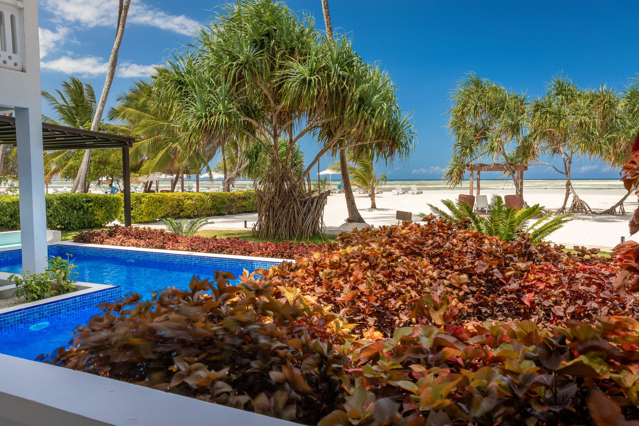 Tropical gardens at LUX Marijani, Zanzibar – winding paths, palm trees and thatched roofs leading down towards the white-sand beach and lagoon.