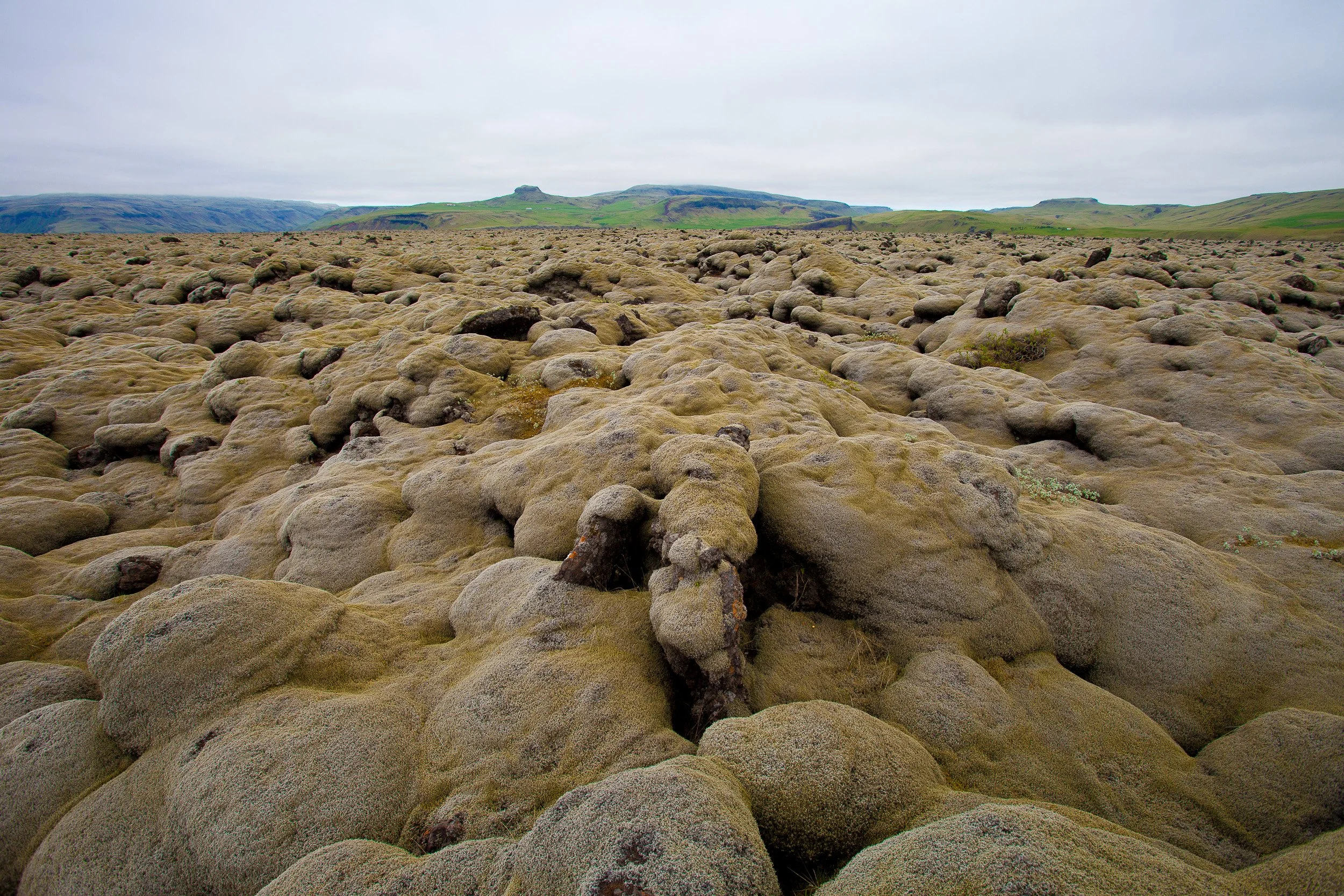 Eldhraun lava field — an ocean of moss-covered lava, soft green on the surface and ancient black beneath, rolling quietly to the horizon.