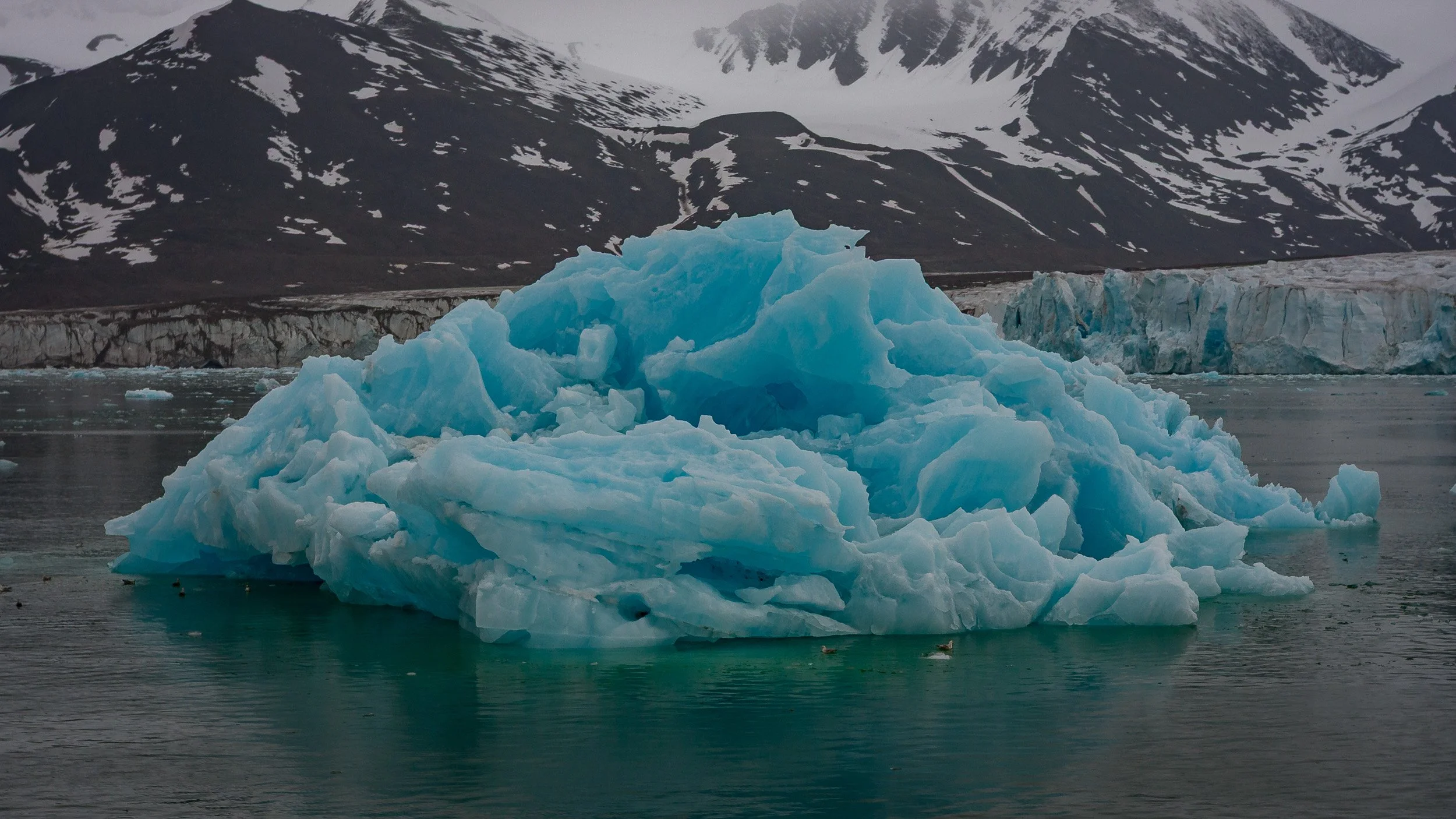 A blue iceberg floating in calm Arctic water near Svalbard, with layered ice, glacial mountains and cold northern light creating a quiet polar landscape.