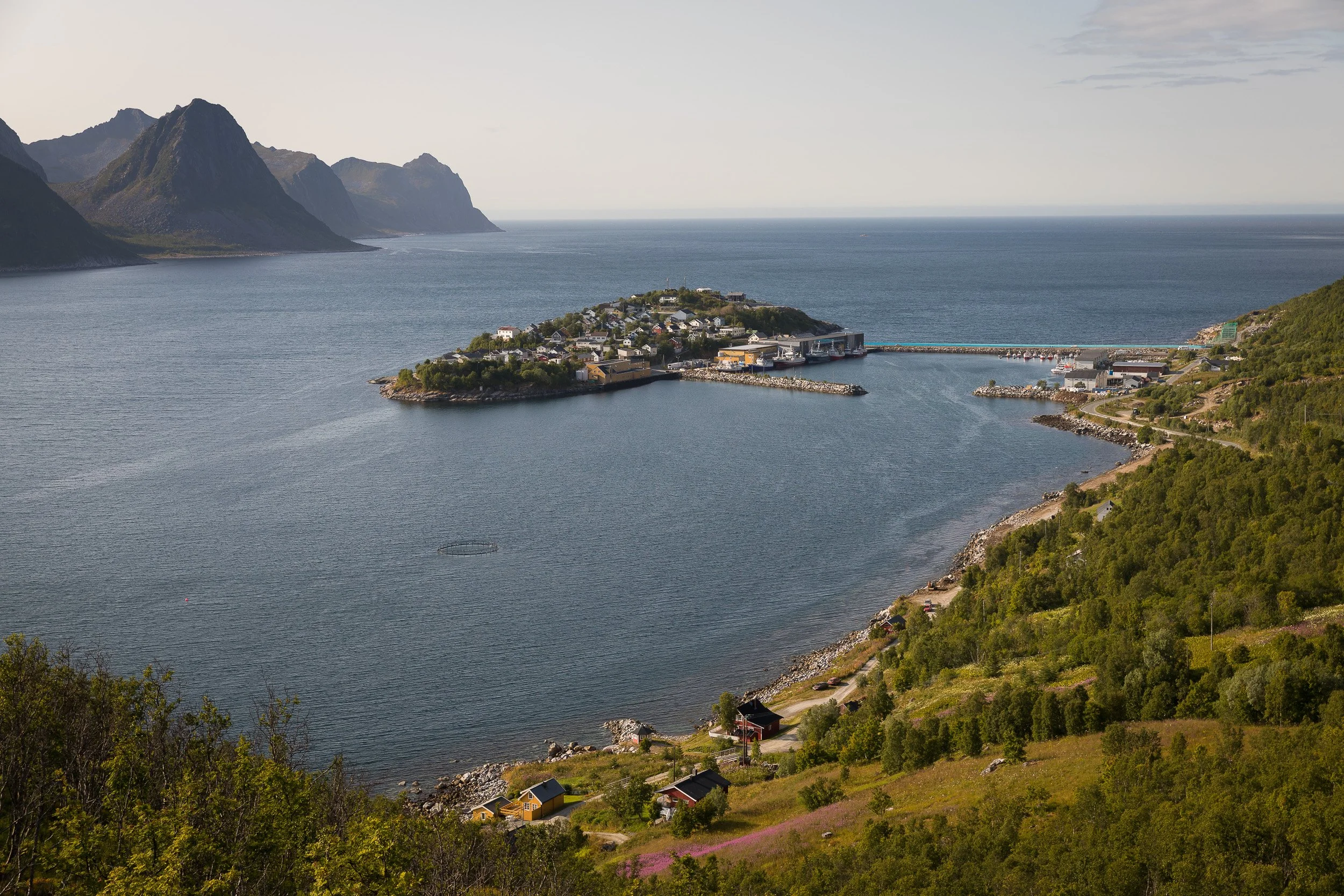 Husøy sits on a small island surrounded by open sea, with steep Senja mountains fading into the distance behind the sheltered harbour.
