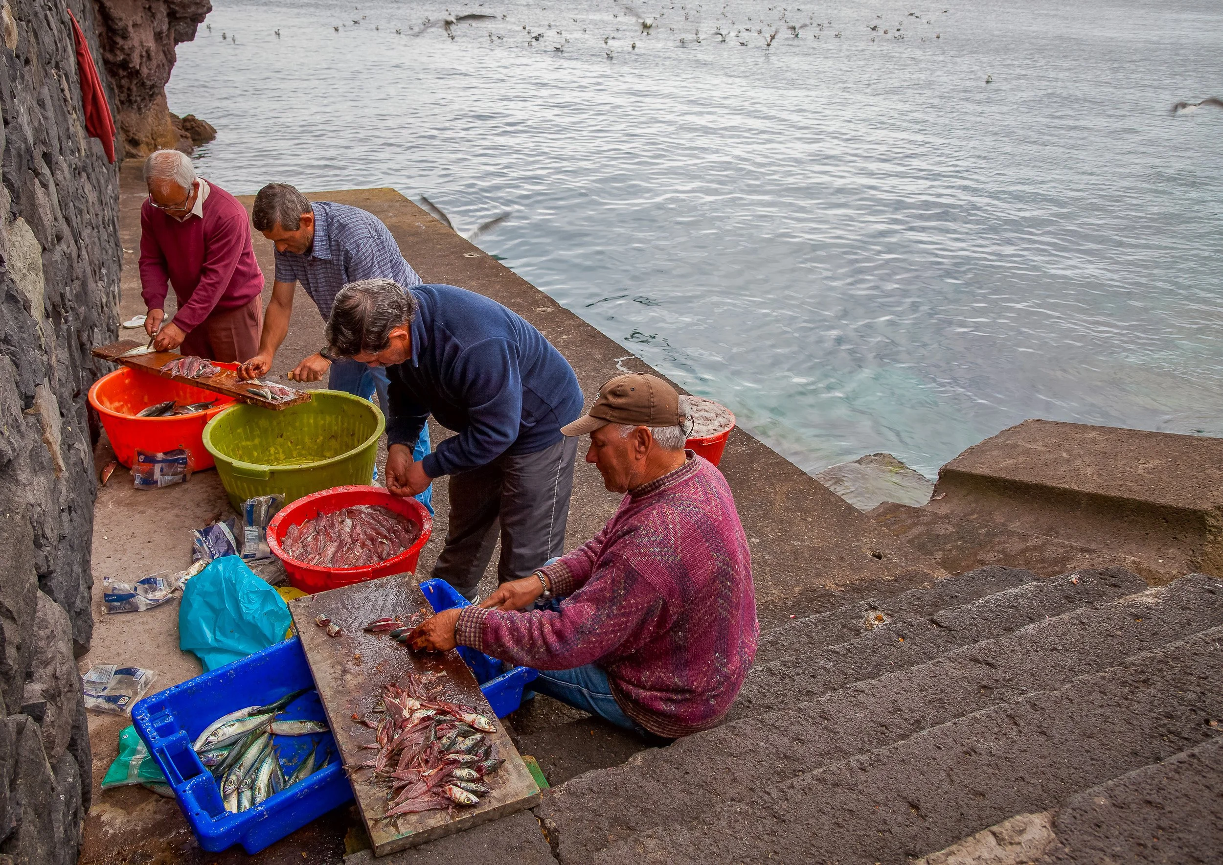 Fishermen cleaning the day’s catch beside the water in Machico, with seabirds above the harbour adding movement to a quiet working scene.