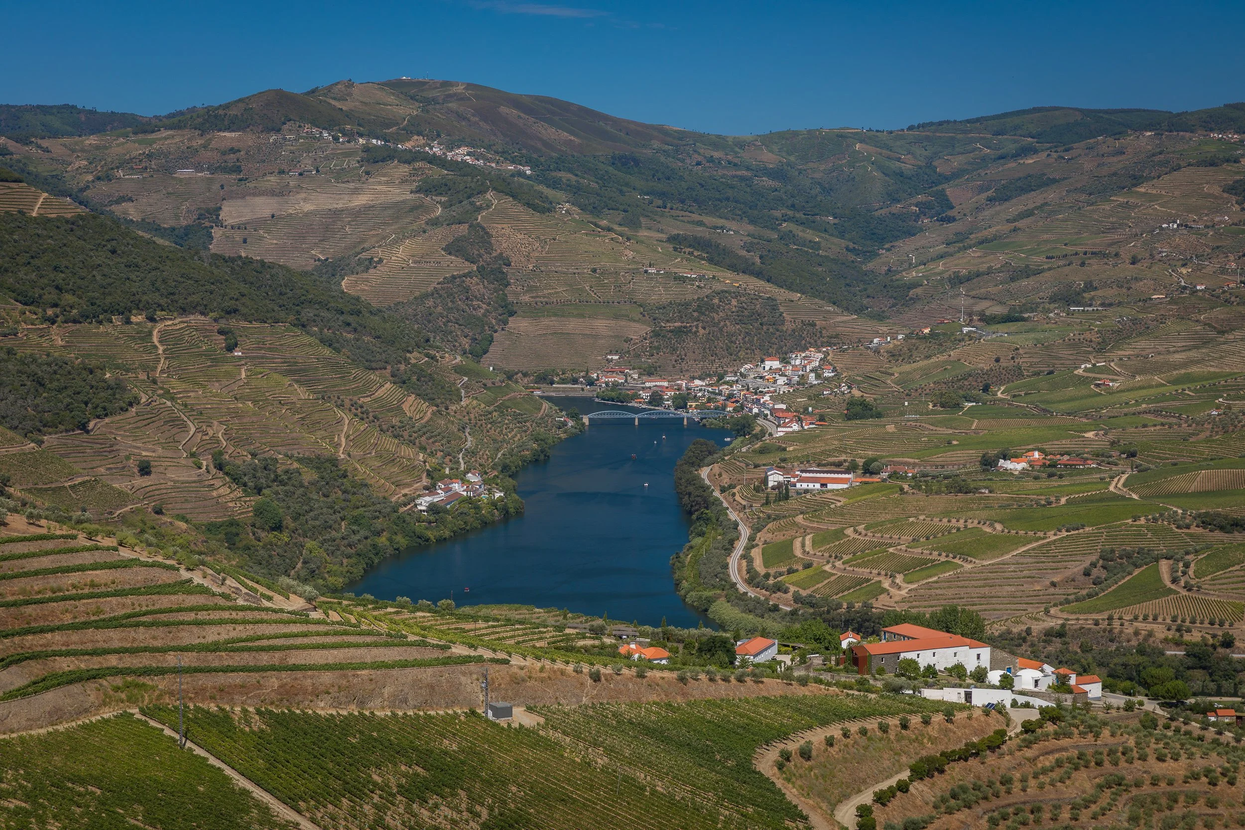 The Douro River winds through terraced hills towards a small riverside town, framed by vineyards and whitewashed buildings.