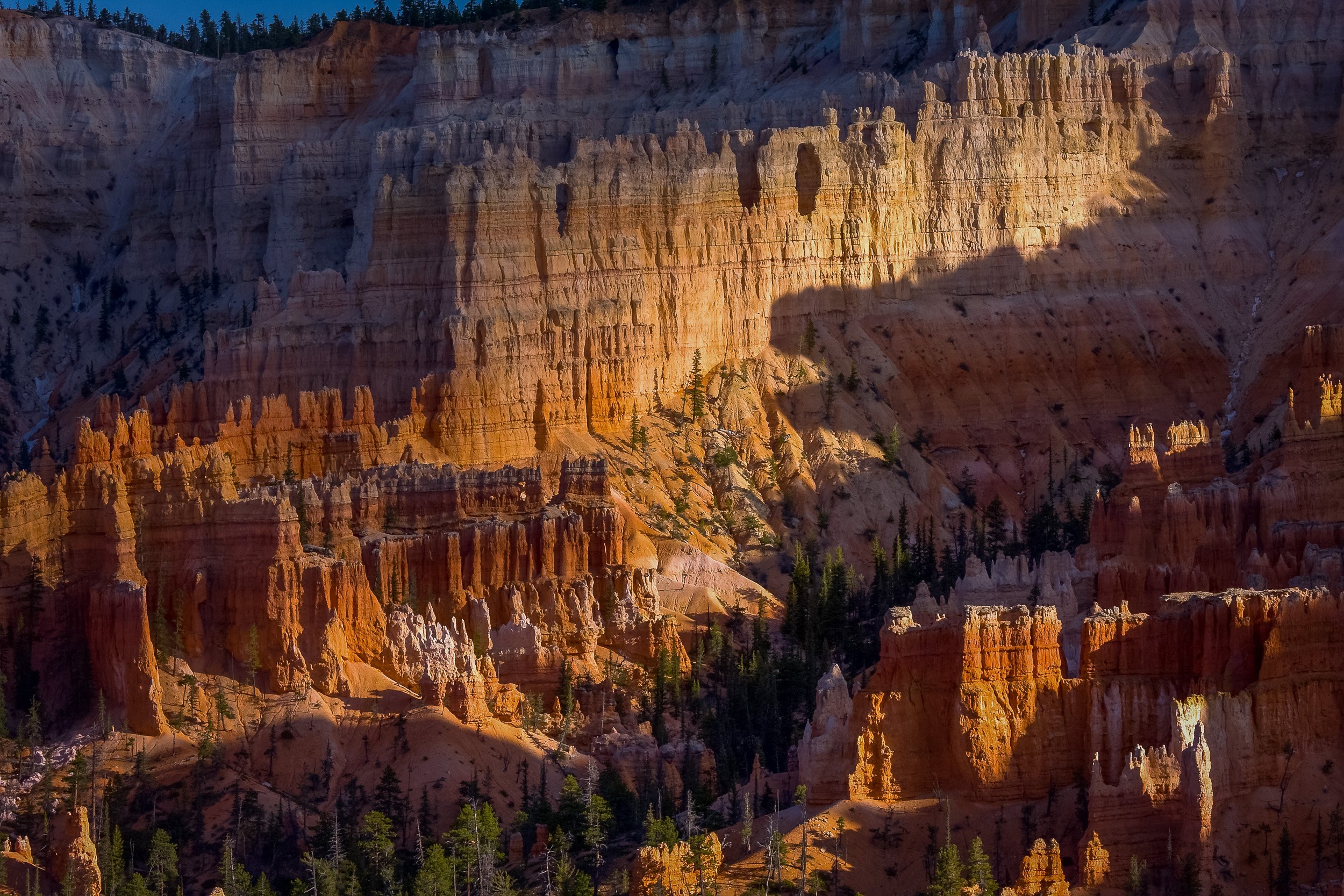 Sunlit hoodoos and deep shadows in Bryce Canyon National Park, Utah.