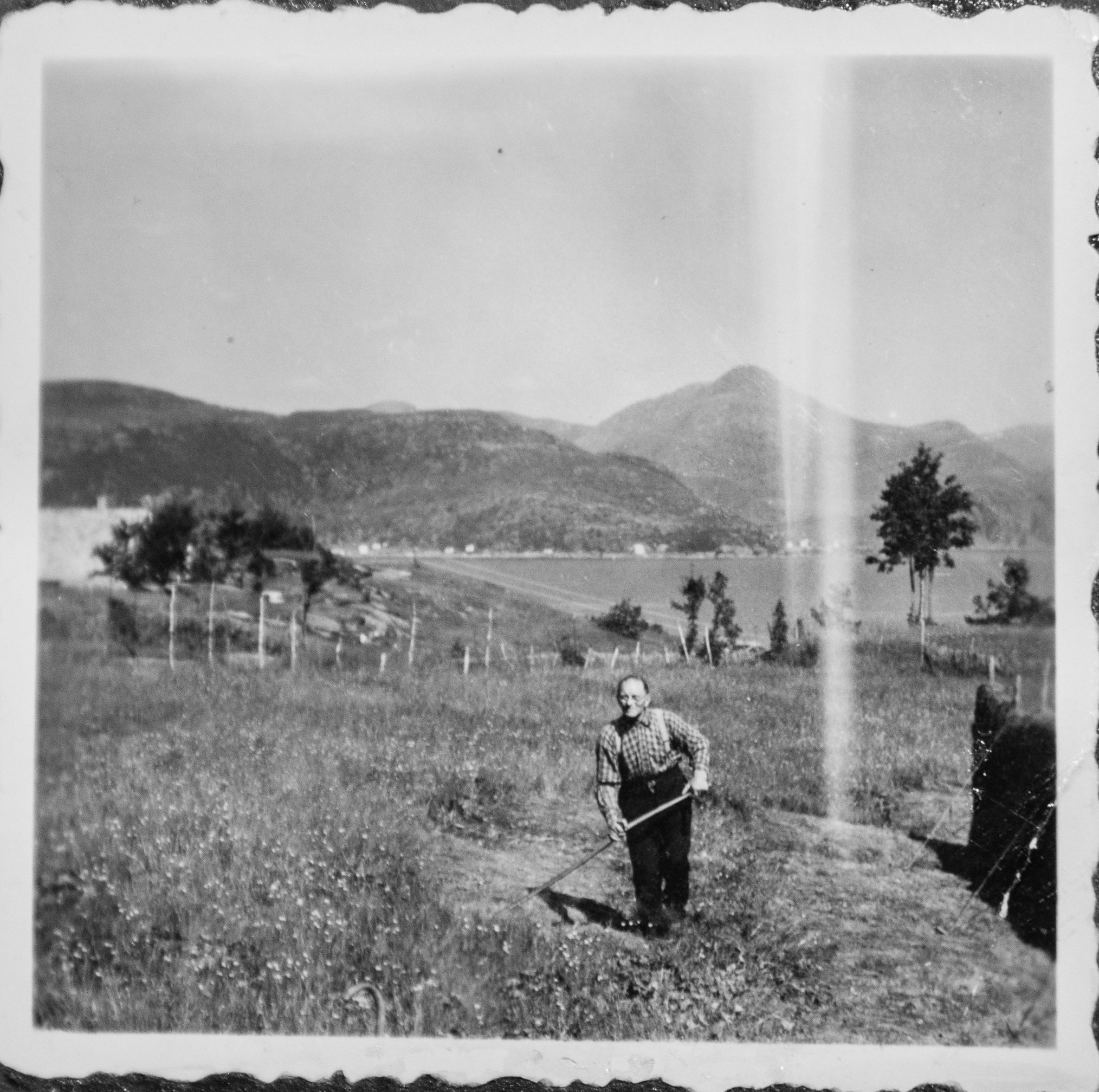 Johan Knutsen Husevåg  i slåttearbeid på Husevågøy – bildet er tatt ca. 1950. Før maskinene kom inn i gårdsarbeidet, ble innmarka slått for hånd med langorv, en ljå med langt skaft. Arbeidet var tungt og tidkrevende, men nødvendig for å sikre vinterf