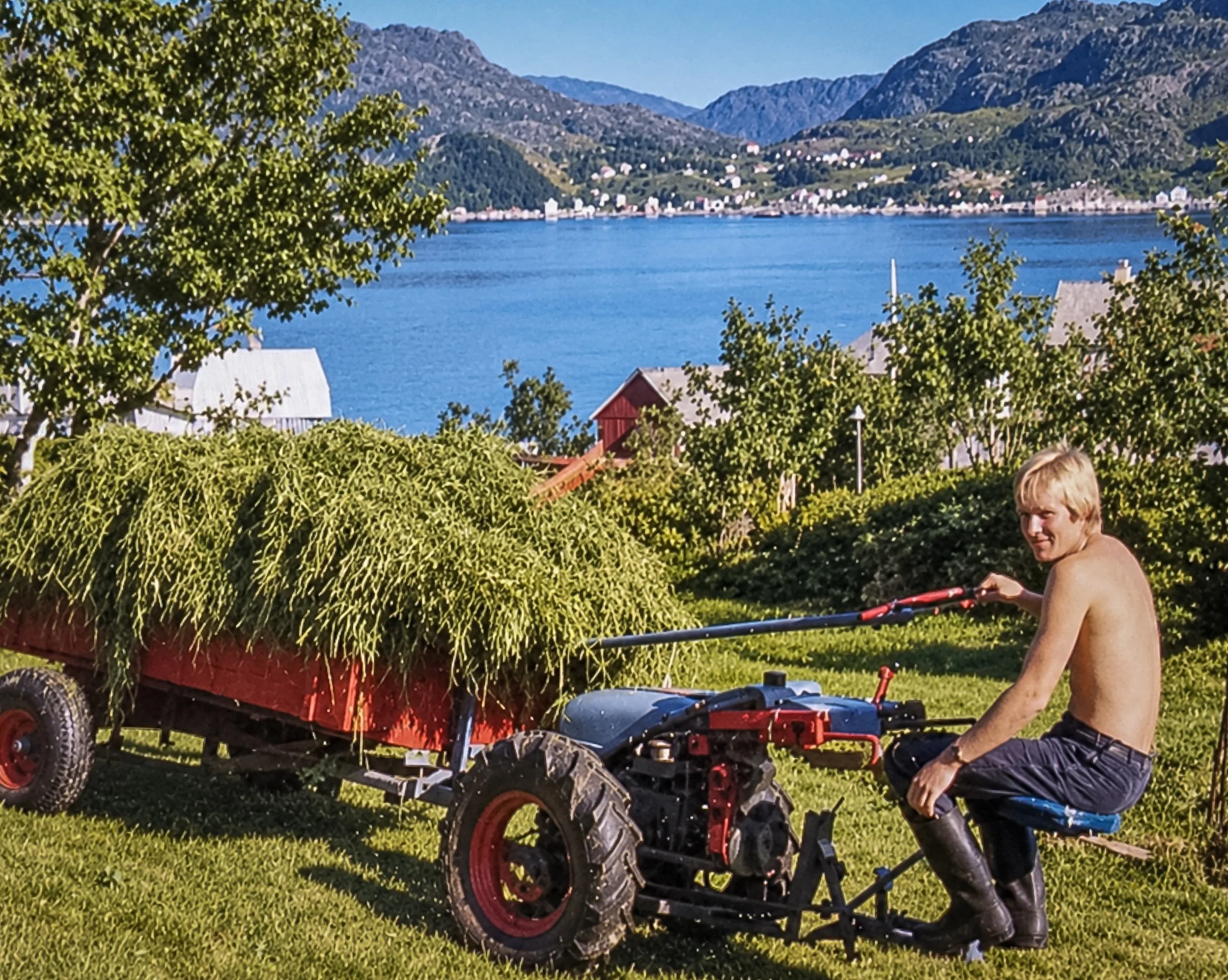 Historisk fargefotografi av Iver Husevåg på familiens MotoStandard U9-tohjulstraktor med en tilhenger fullastet med høy, på en gressbakke i Husevåg med fjorden og fjellene i bakgrunnen.