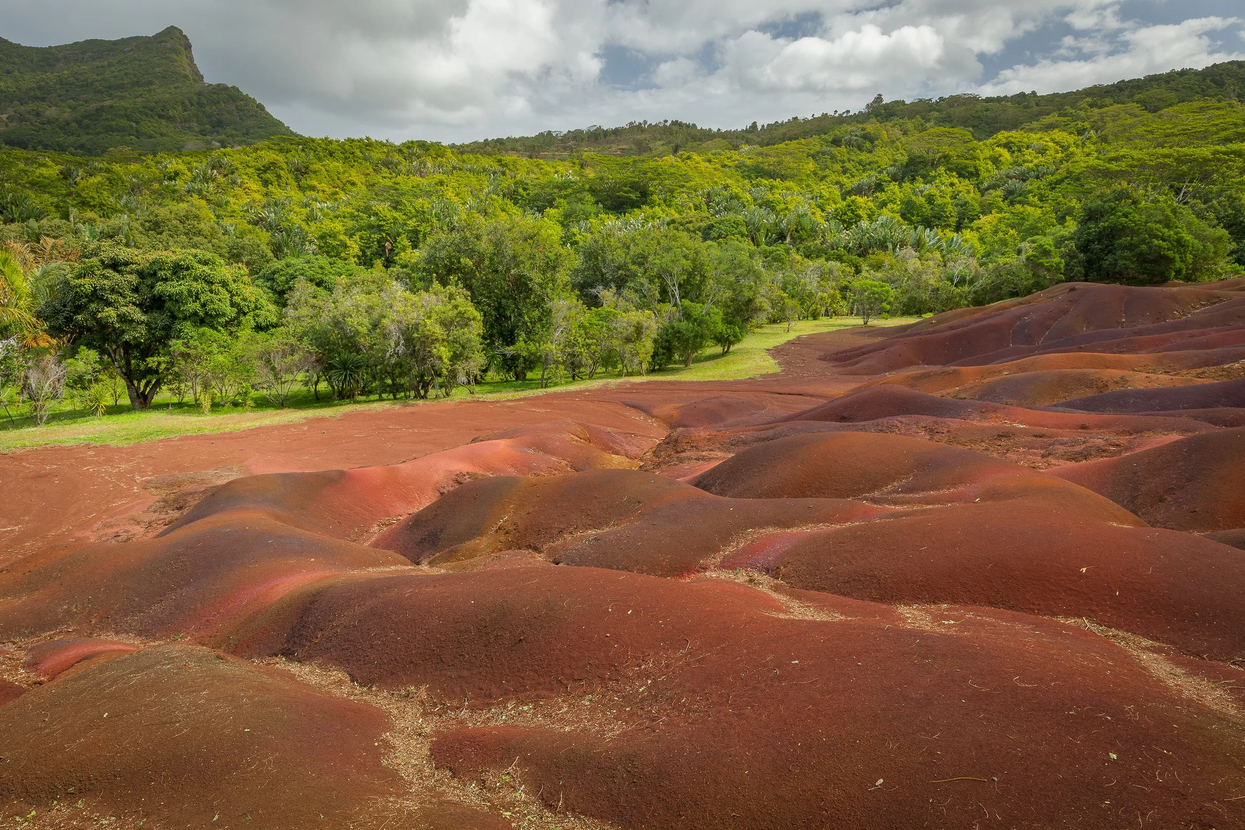 Wave-shaped dunes of the Seven Coloured Earth in Chamarel, Mauritius, with rust-red, violet and brown tones contrasting against the green forest.