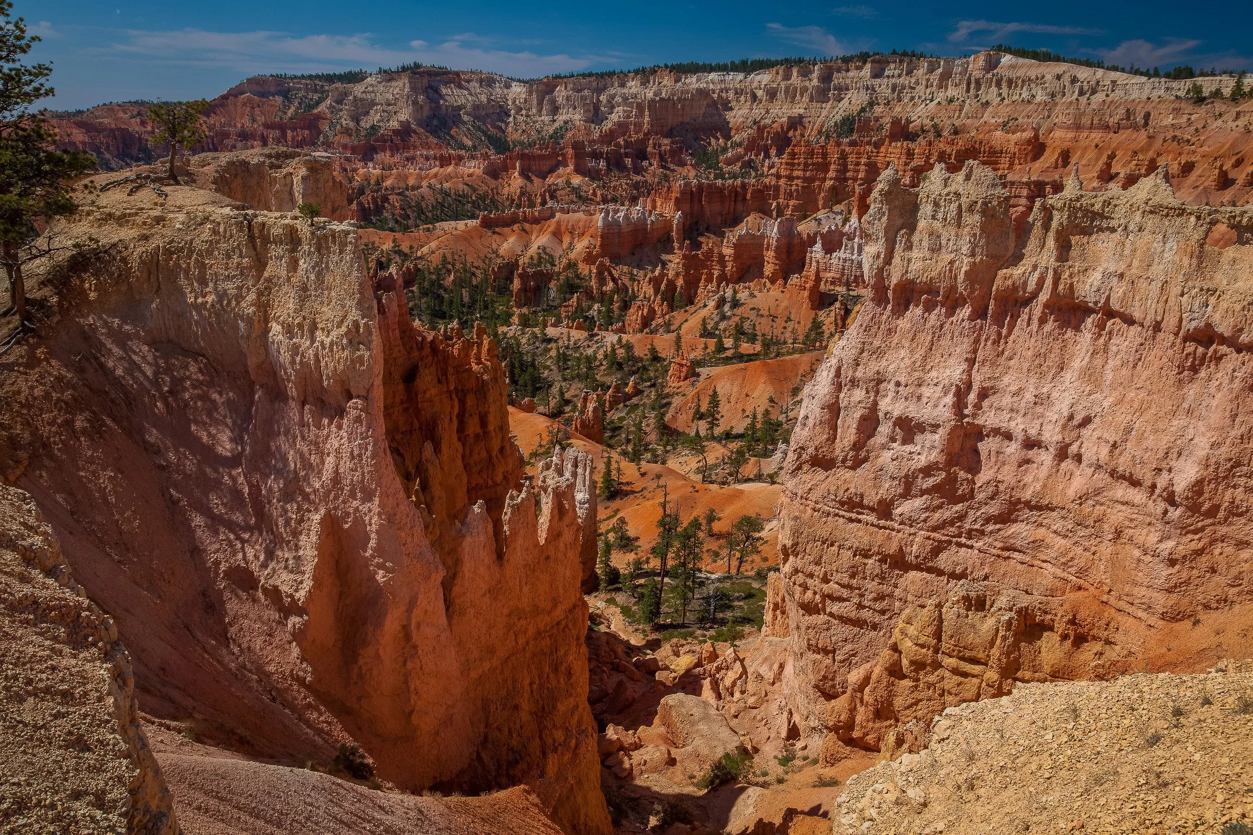 Pale limestone pinnacles and orange amphitheatres in Bryce Canyon National Park, Utah.
