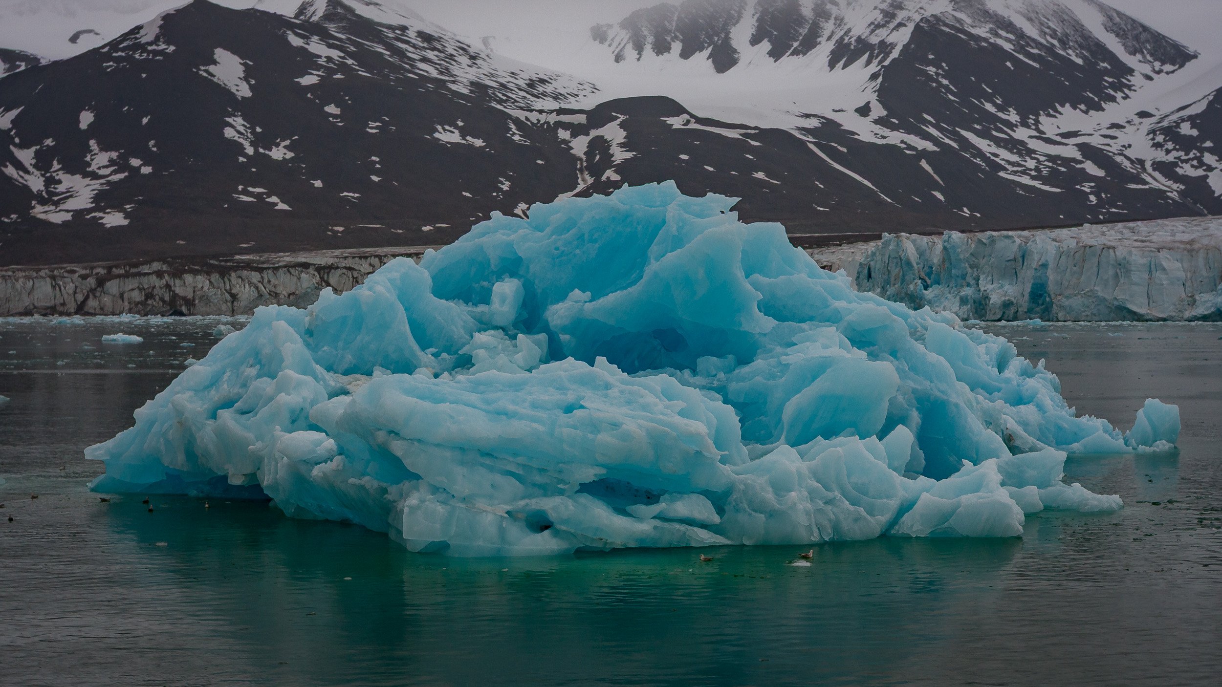 A luminous blue iceberg floating in calm Arctic water near Svalbard, with layered ice, muted mountains and cold northern light creating a quiet polar atmosphere.