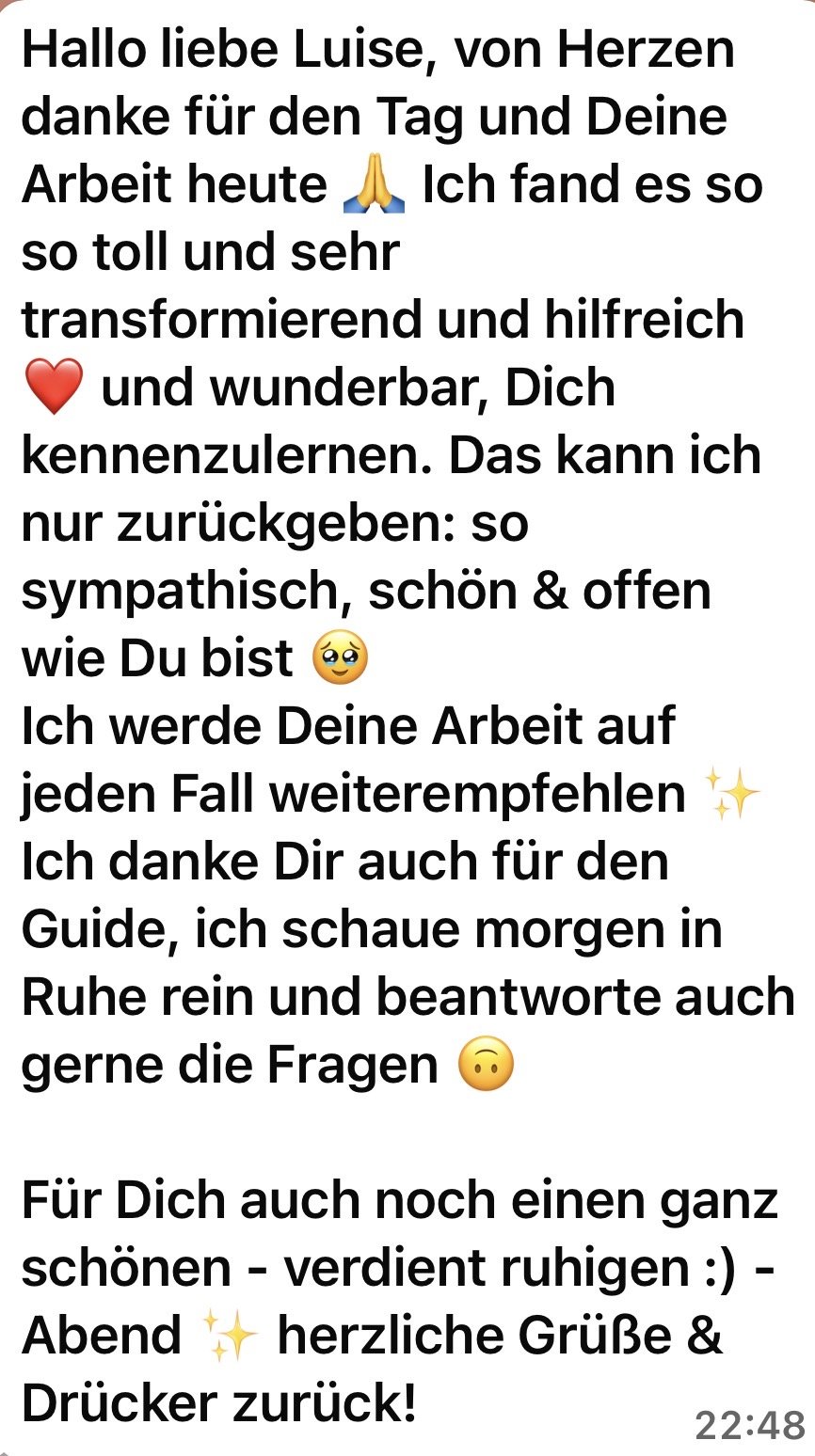 Screenshot einer ausführlichen Kundennachricht: Eine Kundin beschreibt den Beratungstag als transformierend und hilfreich.