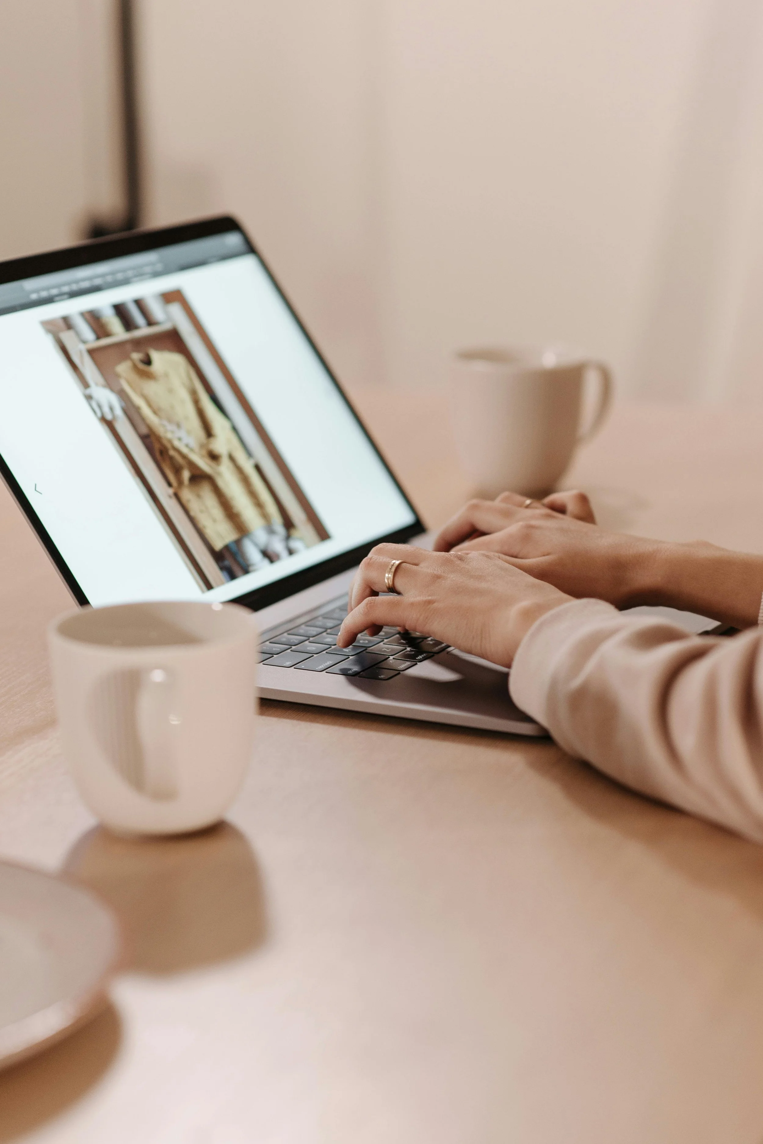 Auswahl von Kleidung auf einem Laptop während der Vorbereitung eines Personal Shopping Termins.