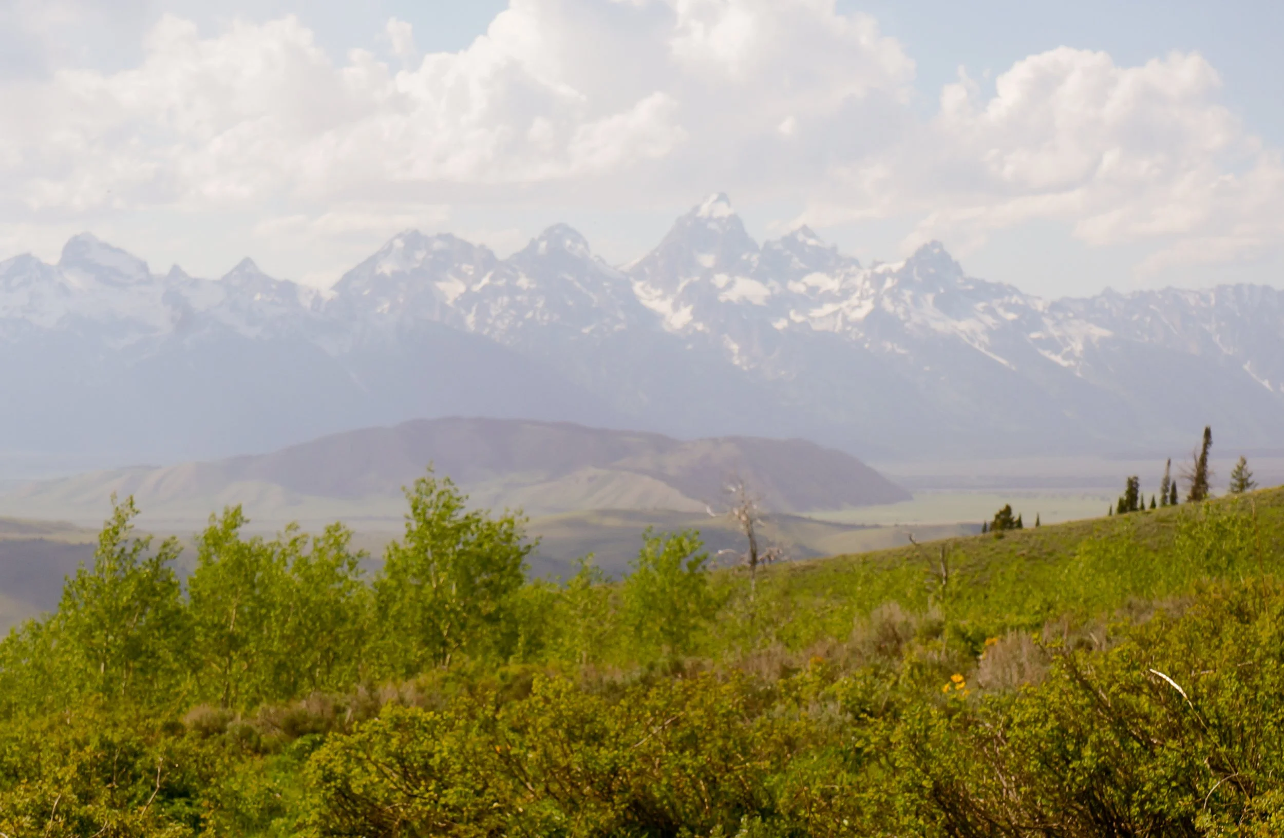 DSC03891-4.jpg