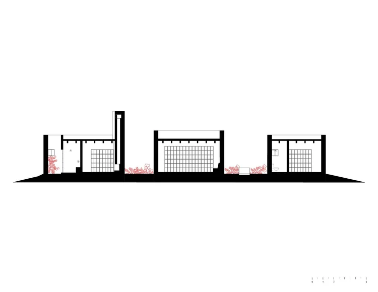 Sección 1