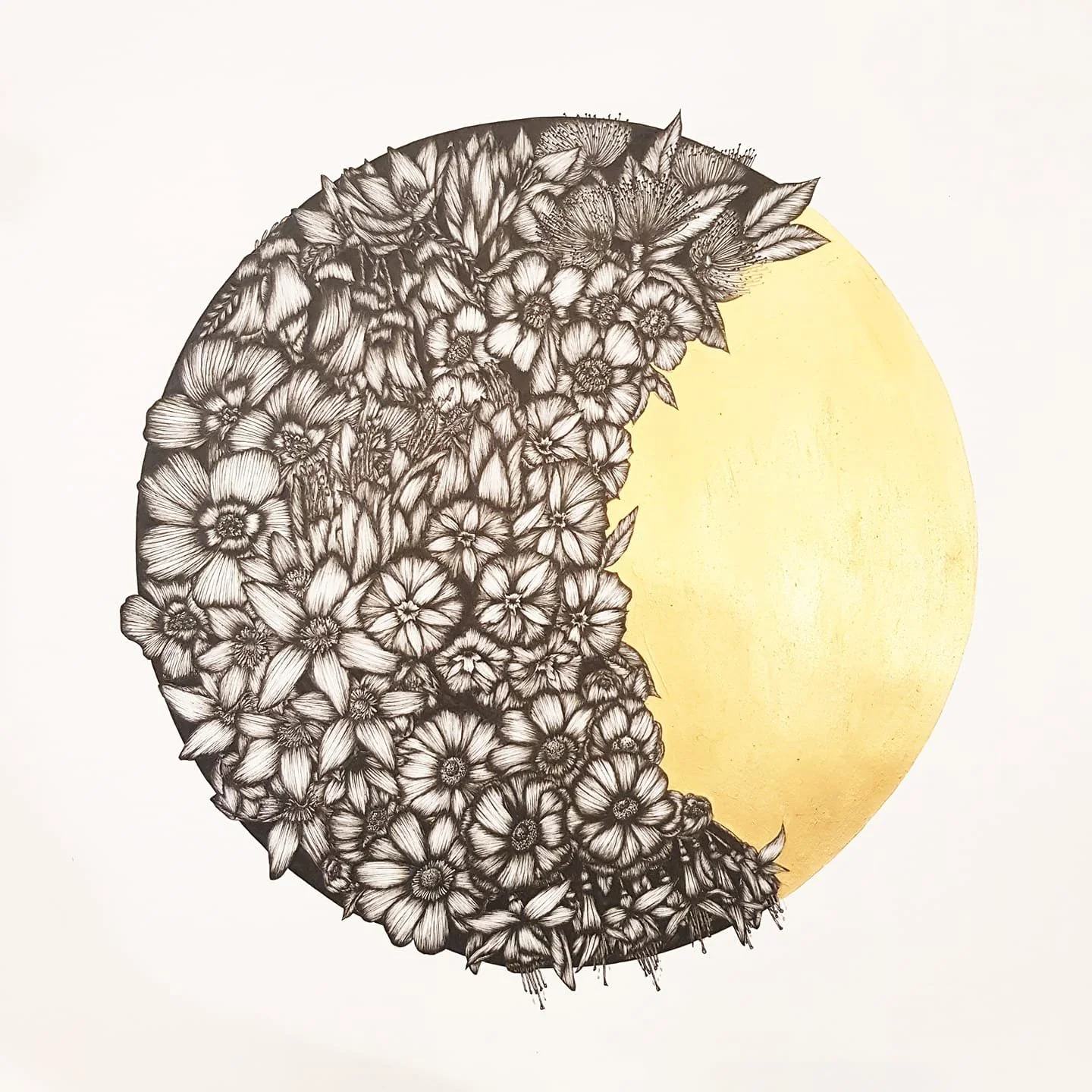 Eclipse of Aotearoa.jpg