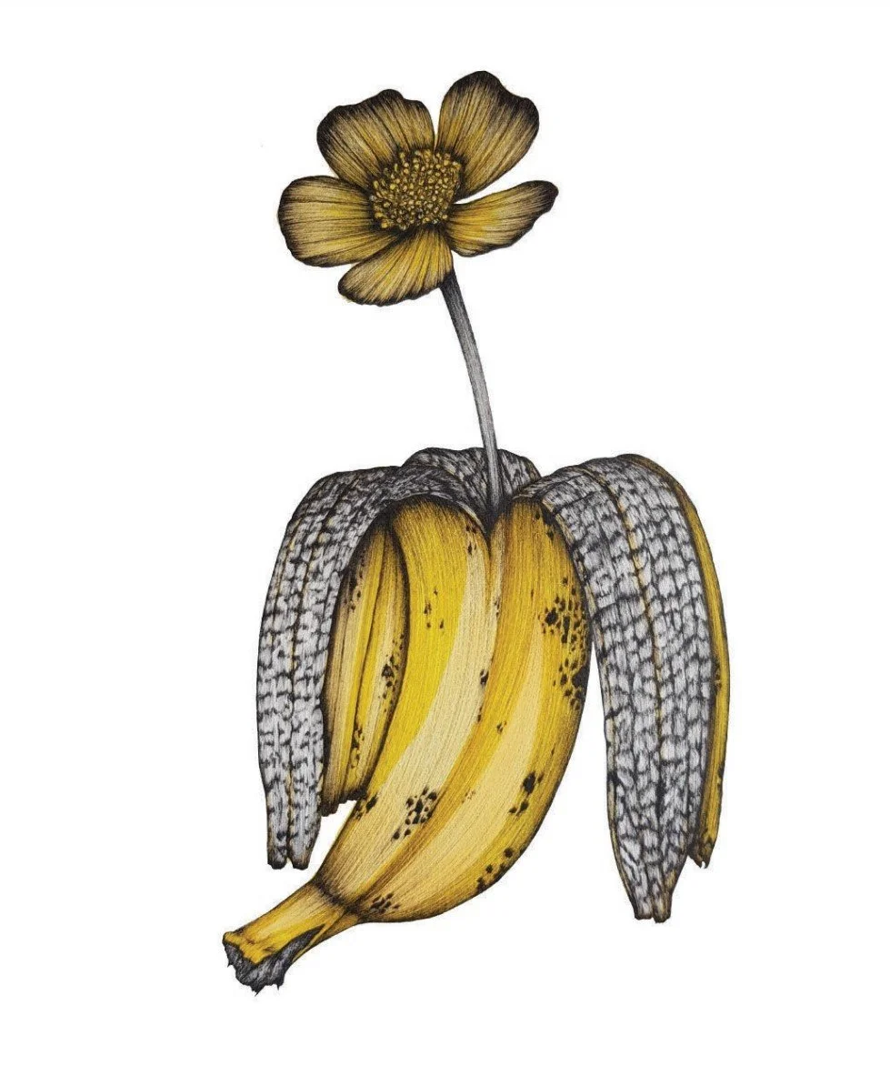 NotABanana_250x350mm_InkPen&ColouredMarkers_2024.jpg