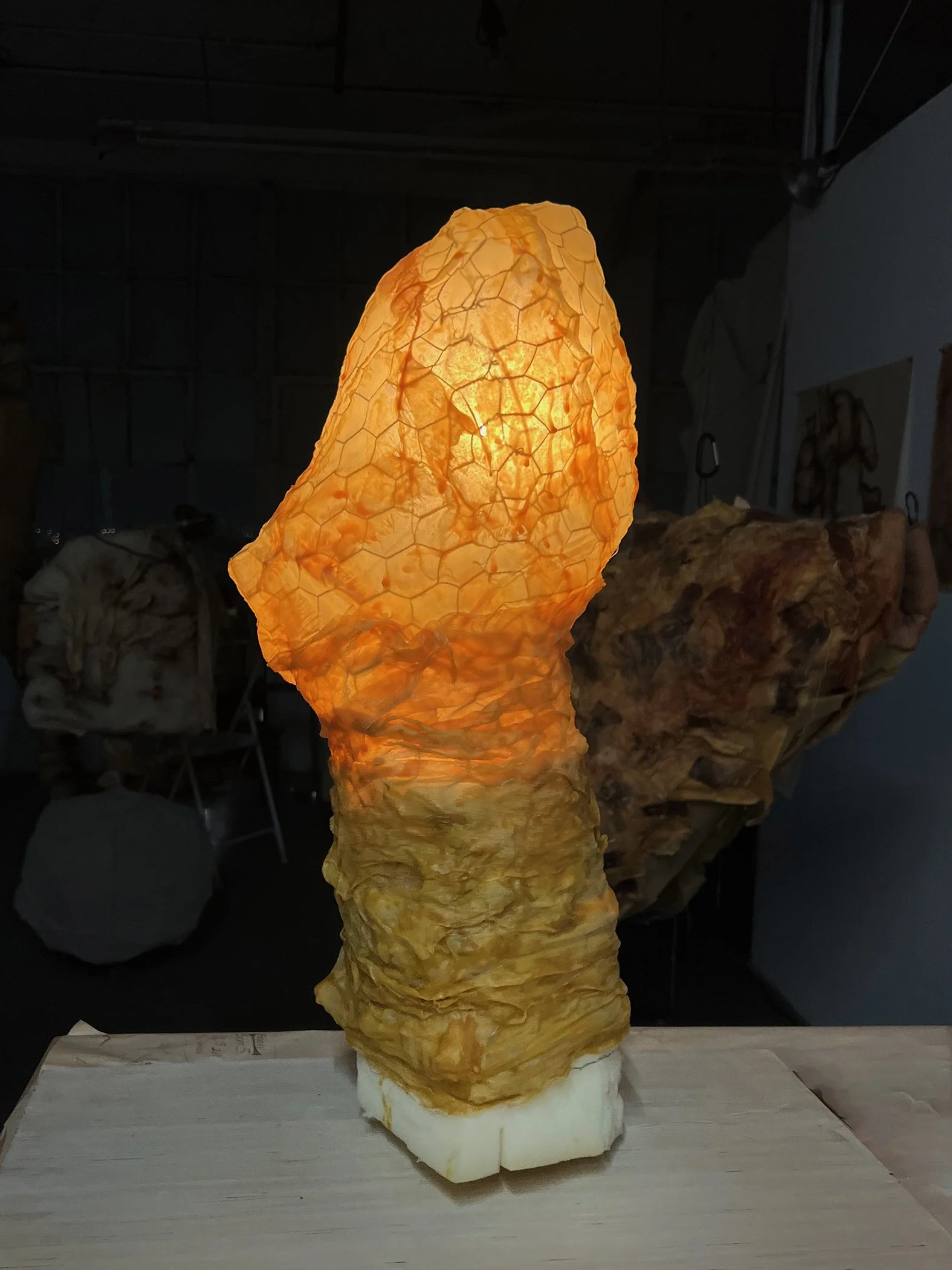 Artistic light sculpture, organic form using foam, wire, and fabric. Contemporary lighting design by Frankie Holt.
"Table Light | ONE"
$2,000