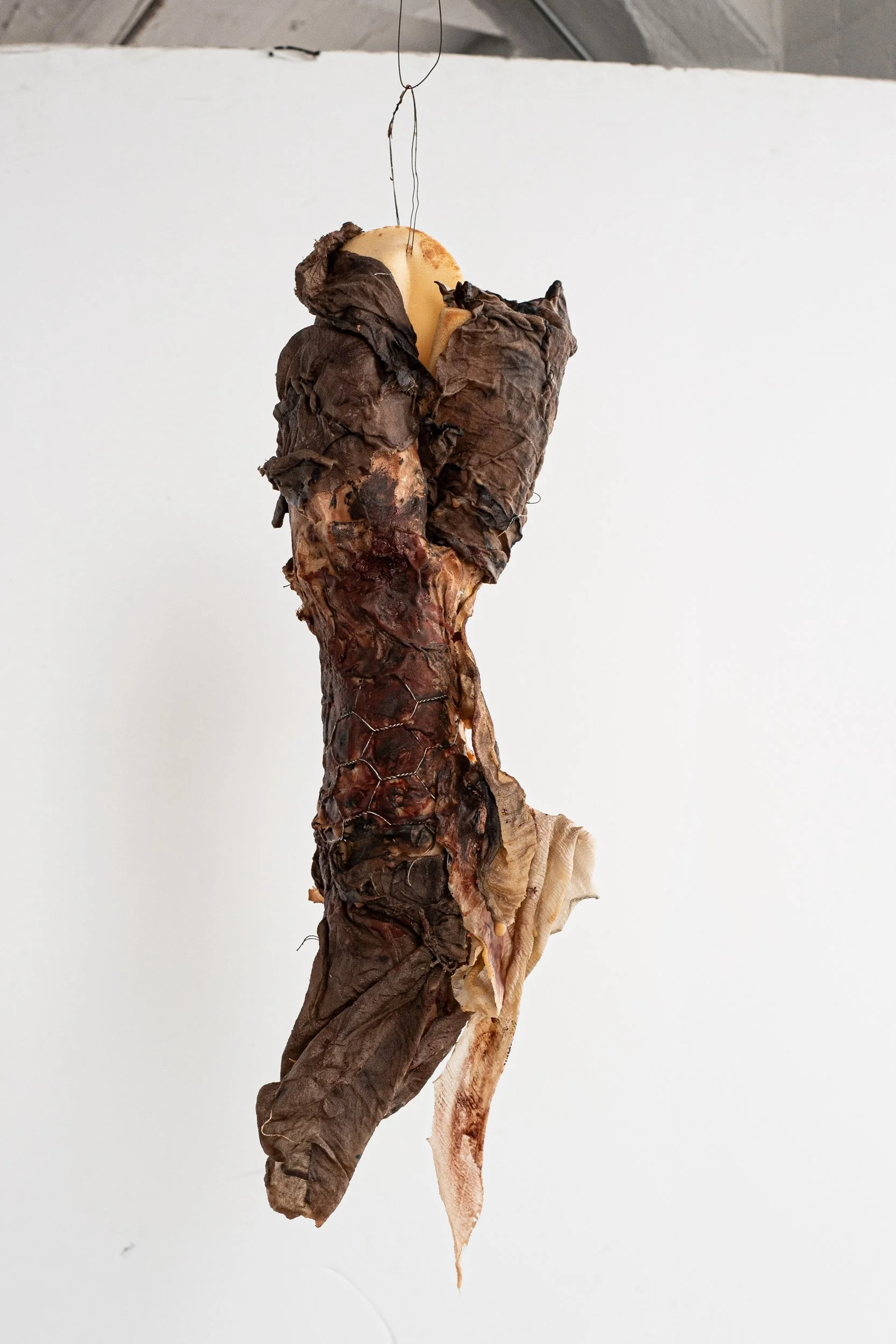 SPECIMEN 15, Lung (Material Detail); Wire, fabric, industrial foam, pigment, and beeswax; 2026