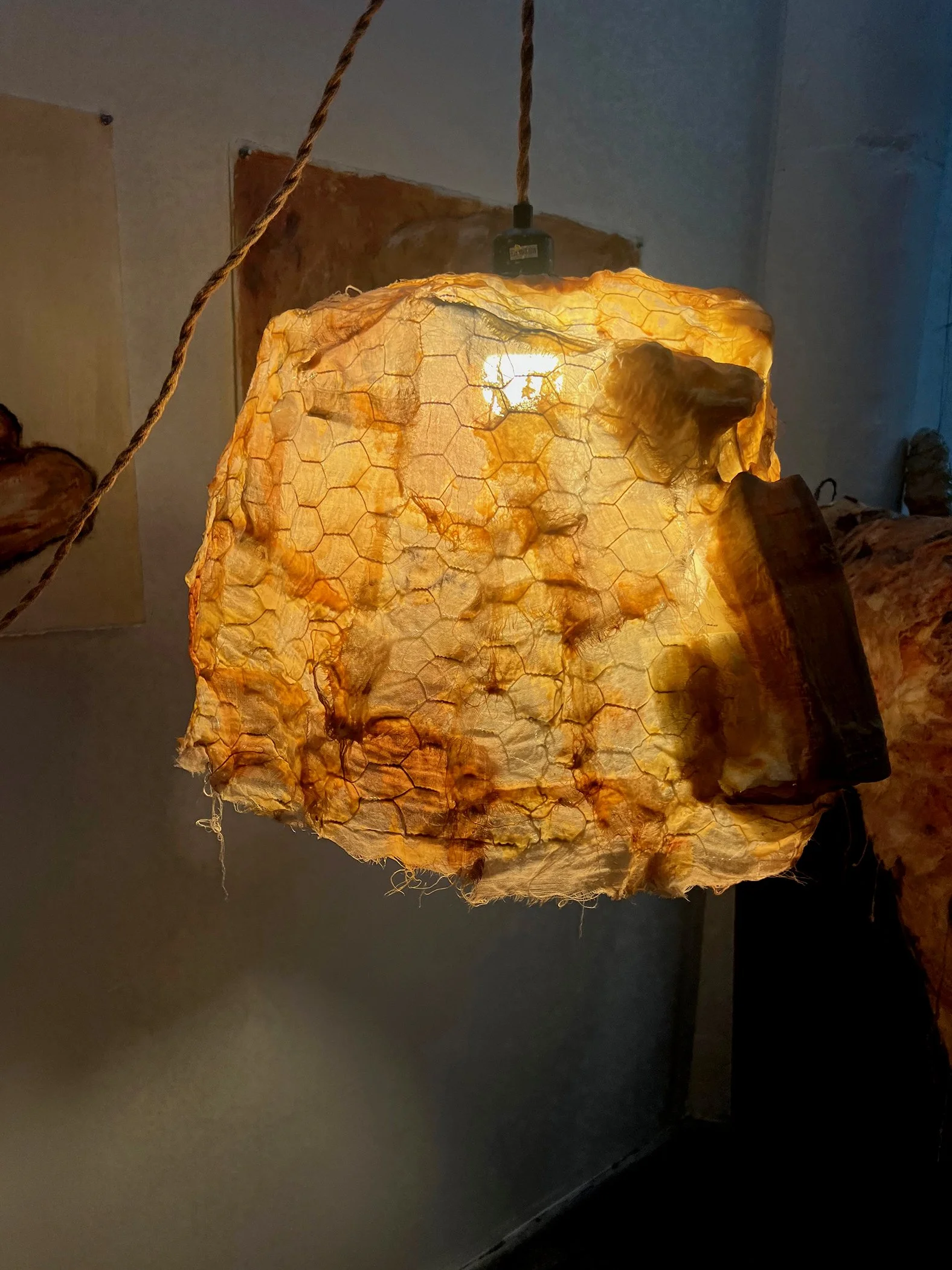 Artistic hanging light sculpture, organic form in foam, wire, and silk fabric. Contemporary lighting design by Frankie Holt.
"Hanging Light | ONE"
$2,000