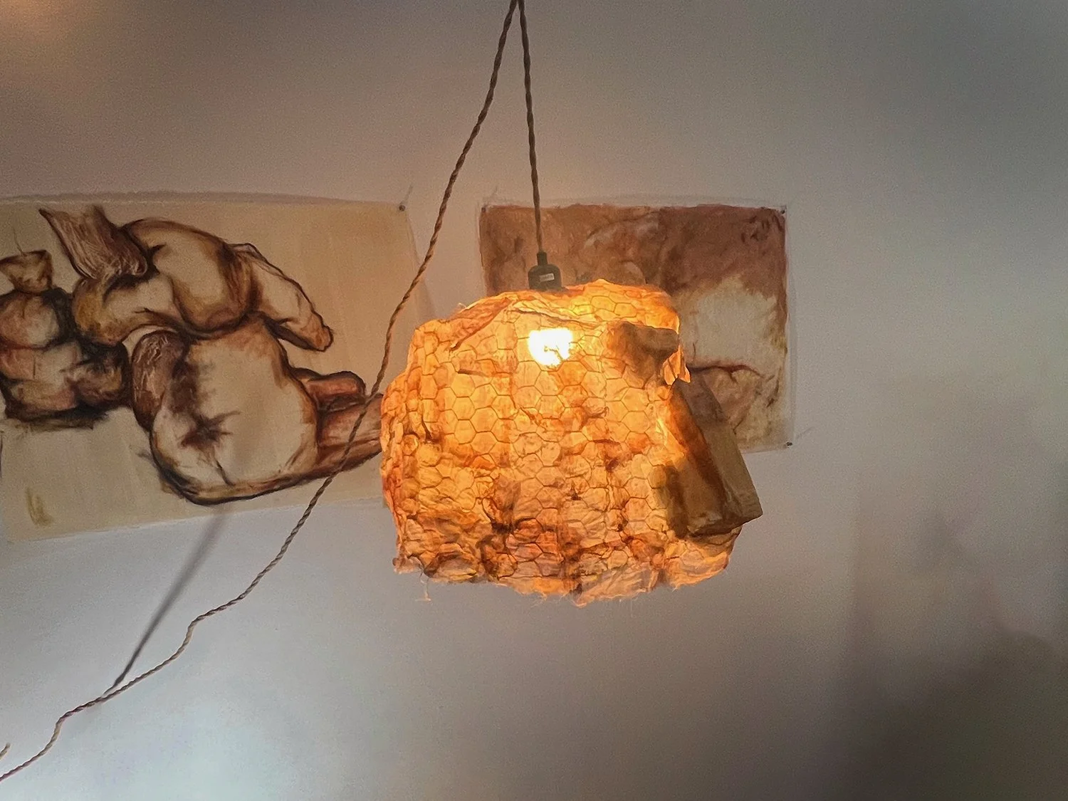 Artistic hanging light sculpture, organic form in foam, wire, and silk fabric. Contemporary lighting design by Frankie Holt.
"Hanging Light | ONE"
$2,000