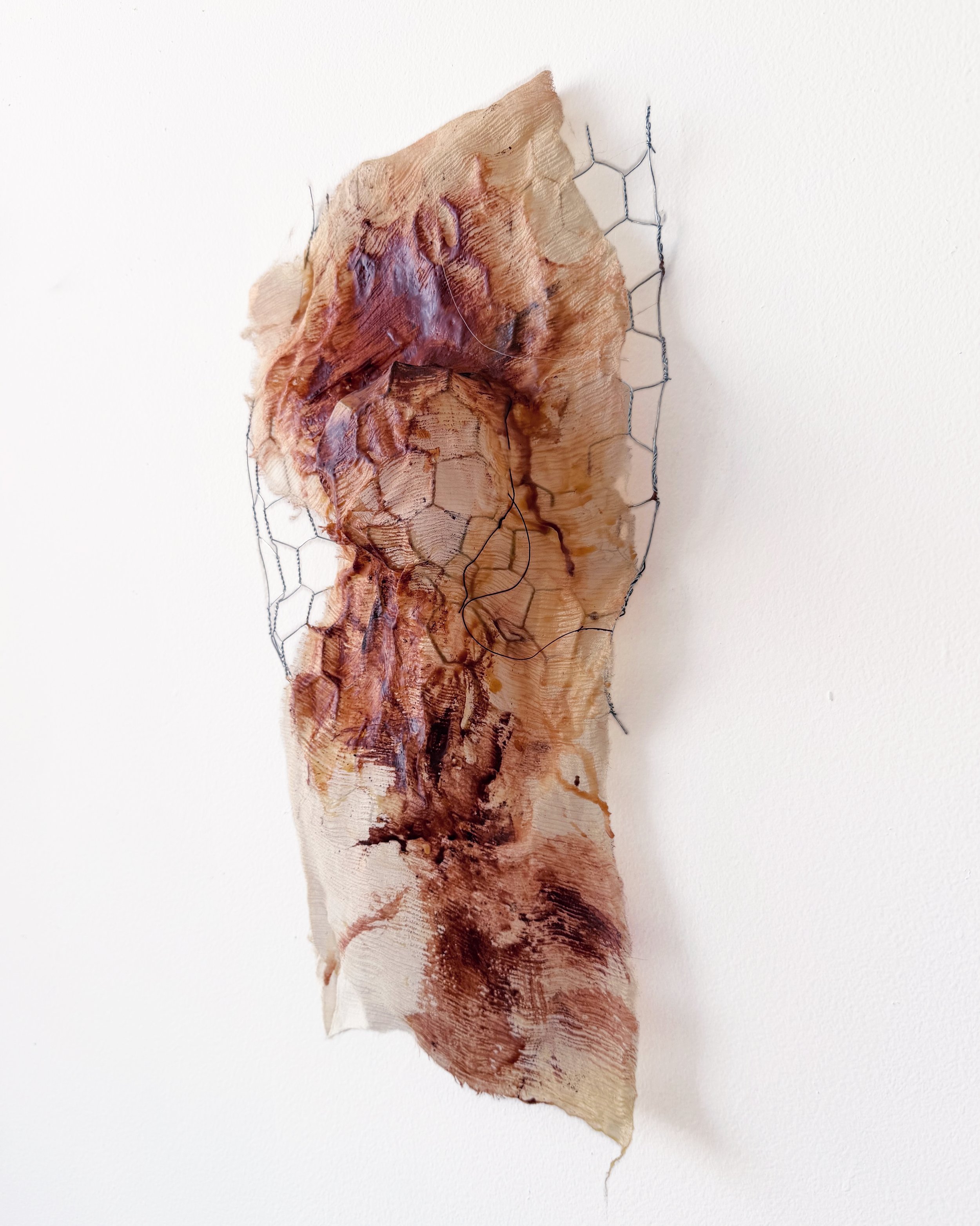 Title: UNTITLED (body study I)
Medium: Industrial wire, fabric, beeswax, and pigment
Dimensions: 20" H x 10" W x 4" D

Description: A lightweight wall sculpture that explores the body as a skeletal, translucent artifact. Using the structural tension 