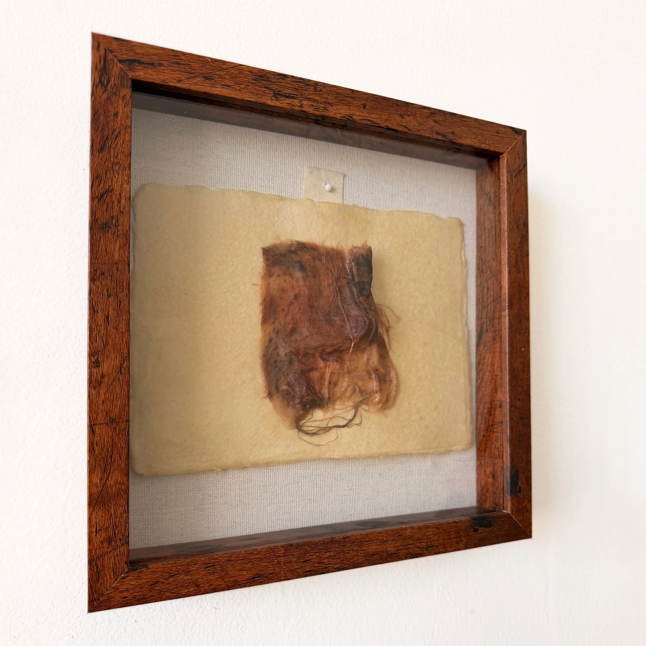 UNTITLED (fabric study I)
Medium: Pigmented beeswax and fabric on handmade paper, framed in a wood shadow box
Dimensions: 10" x 10" x 2" (Frame); 8" x 6" (Paper)
Description: A framed investigation of material as flesh: fabric to skin to bodily trace