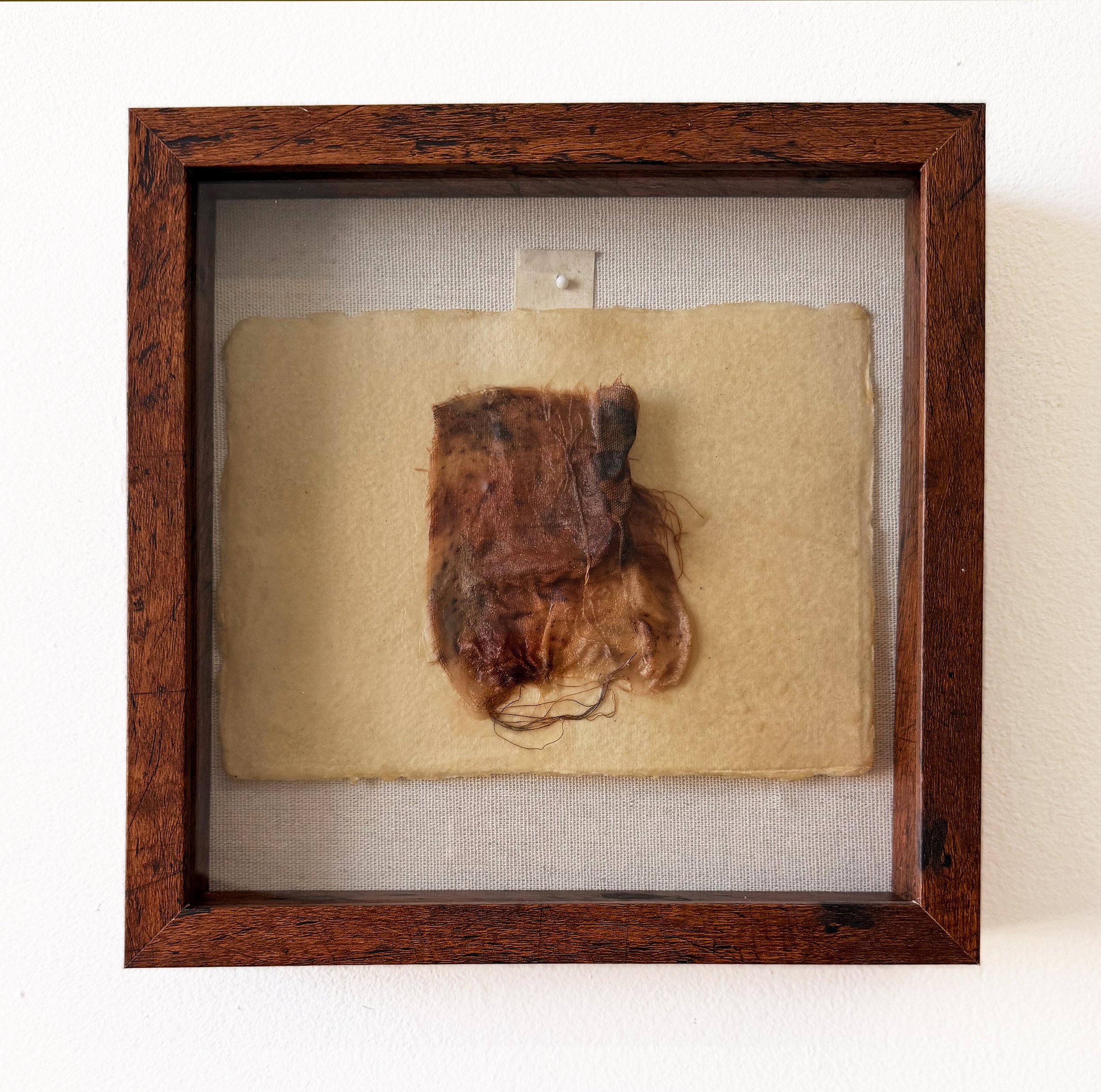 UNTITLED (fabric study I)
Medium: Pigmented beeswax and fabric on handmade paper, framed in a wood shadow box
Dimensions: 10" x 10" x 2" (Frame); 8" x 6" (Paper)
Description: A framed investigation of material as flesh: fabric to skin to bodily trace
